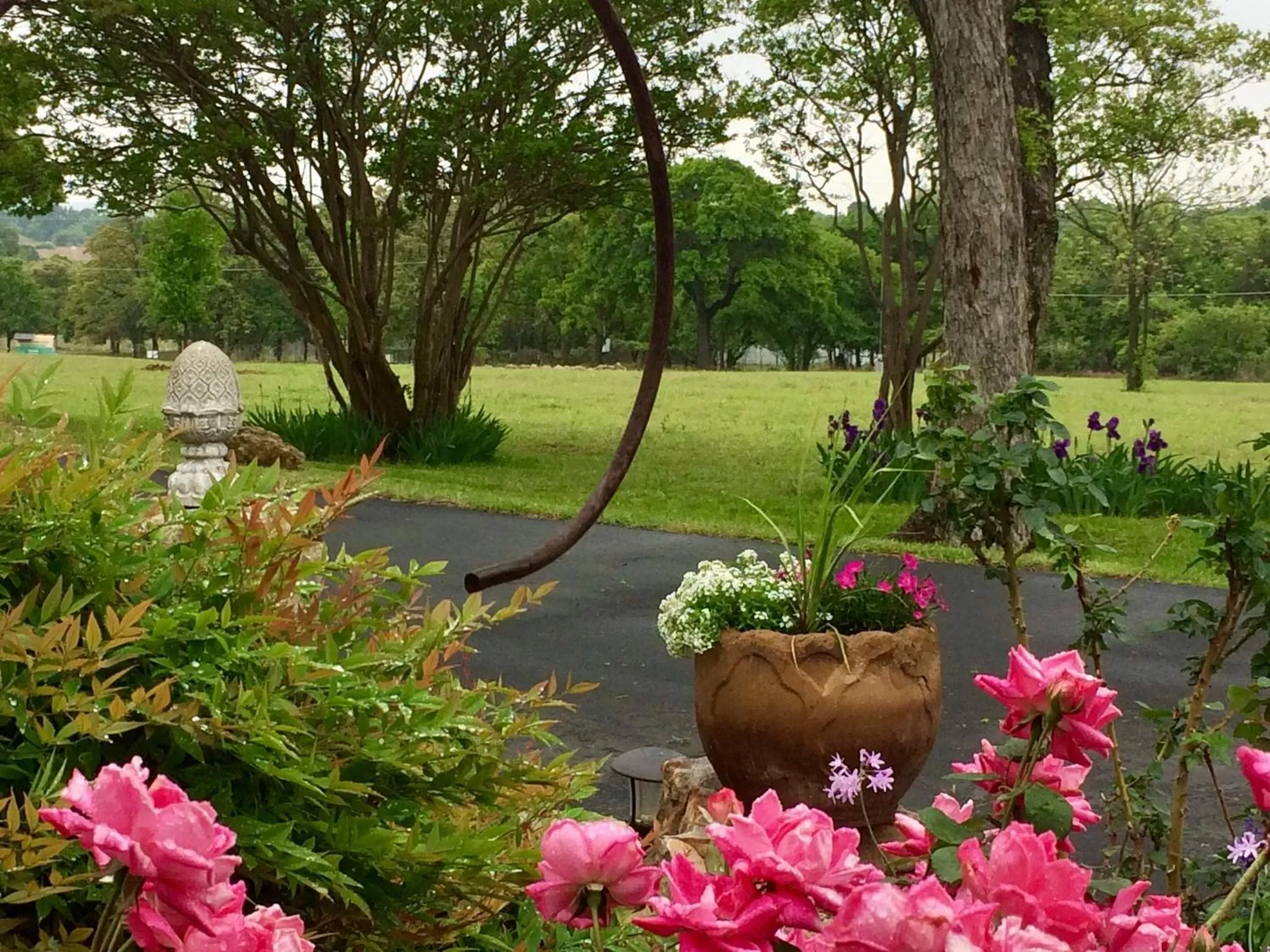 Garden in The Old Liberty Schoolhouse