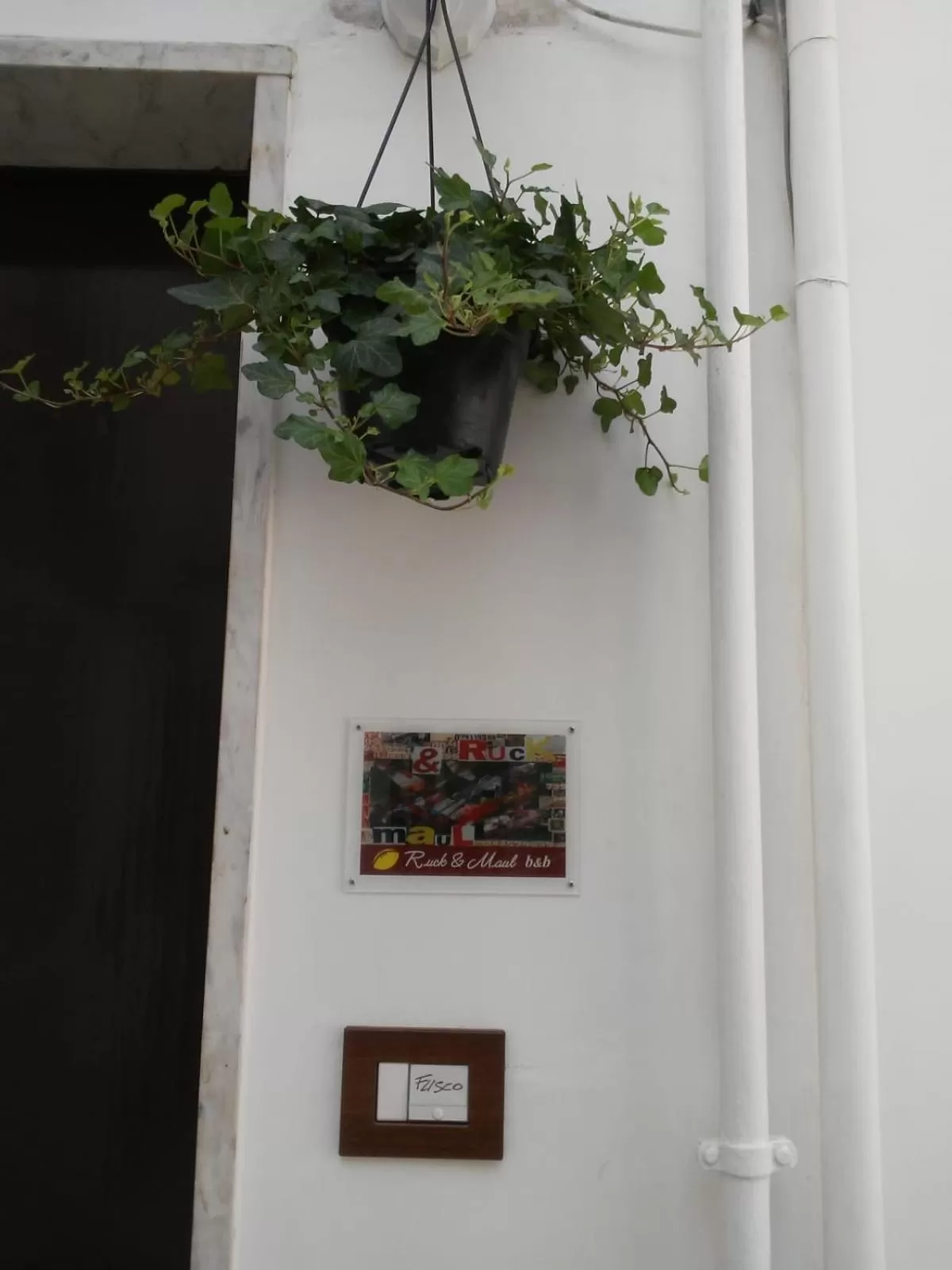 B&B Napoli Ruck&Maul