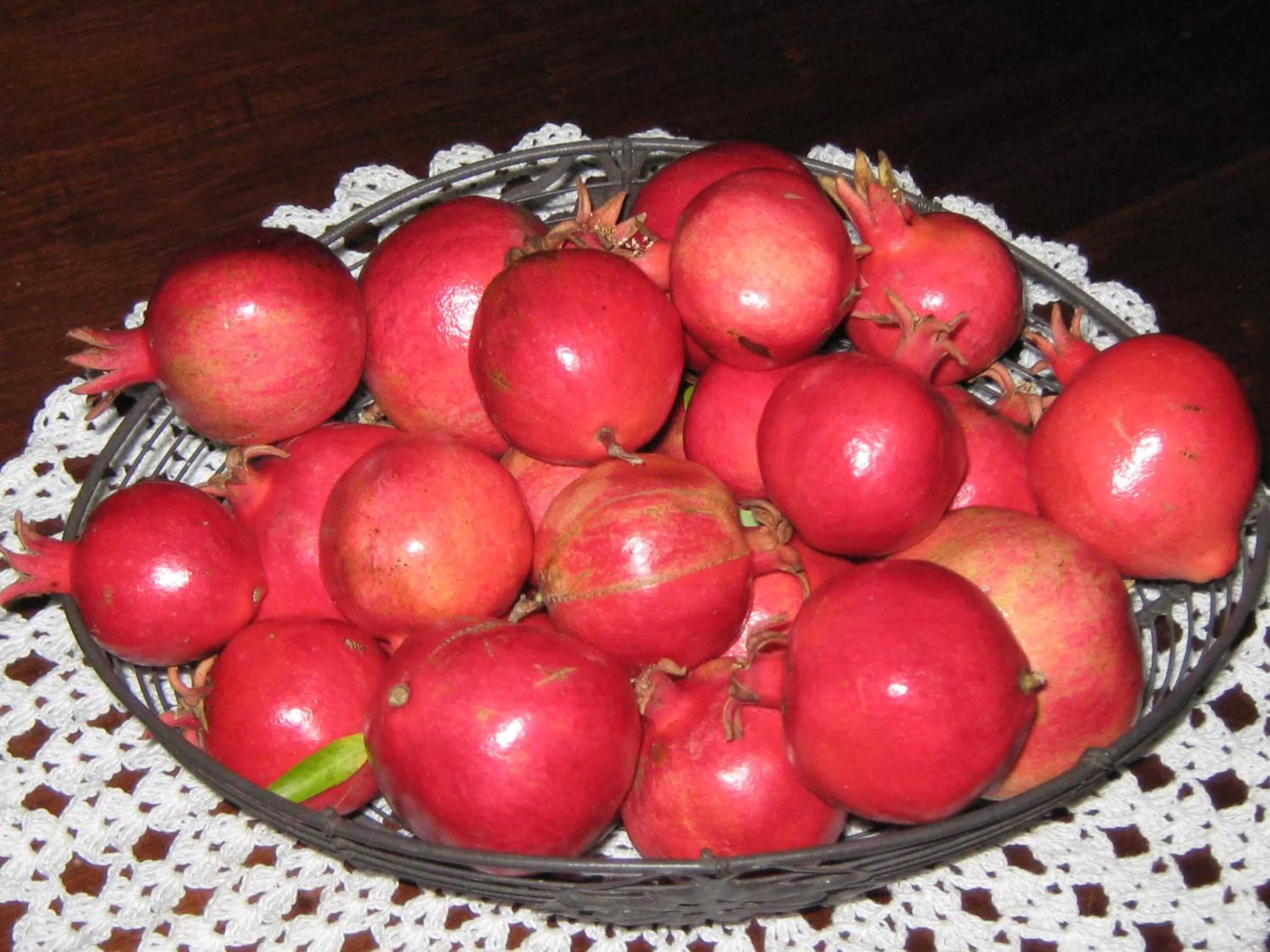 Food and drinks, Food in B & B OASI