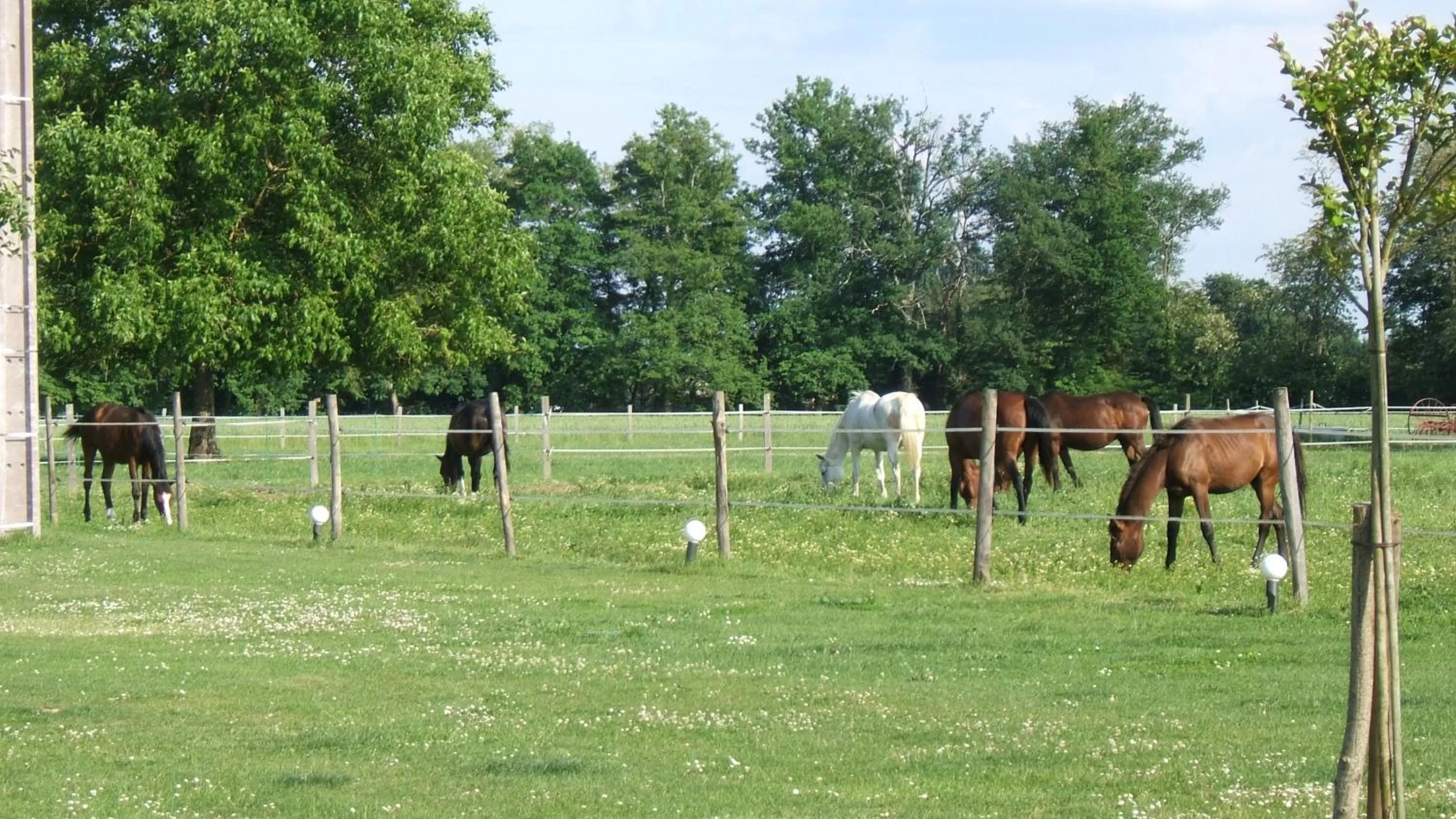 Day in Chambres d'Hotes Carpediem