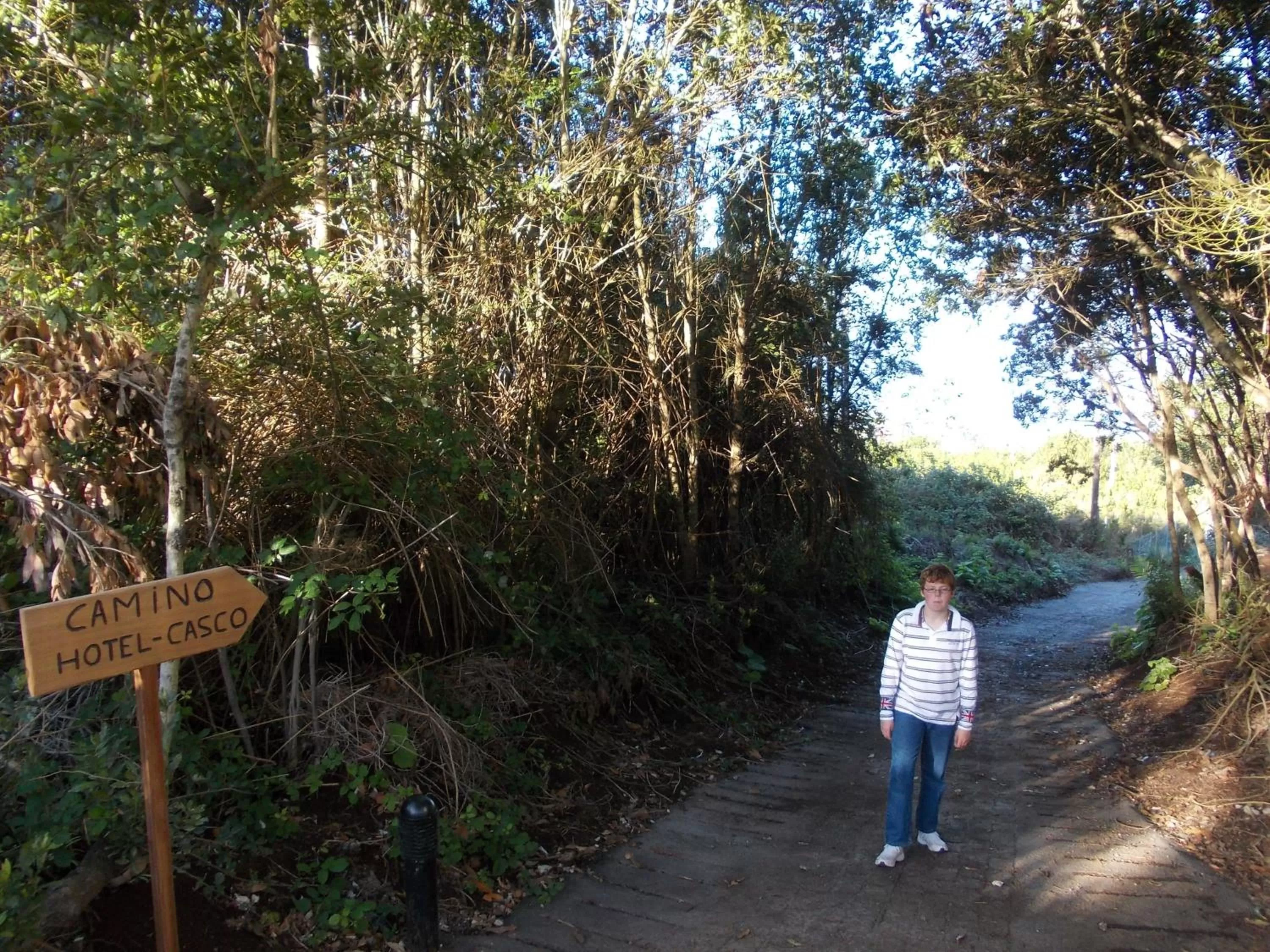 Decorative detail in Hotel La Palma Romántica