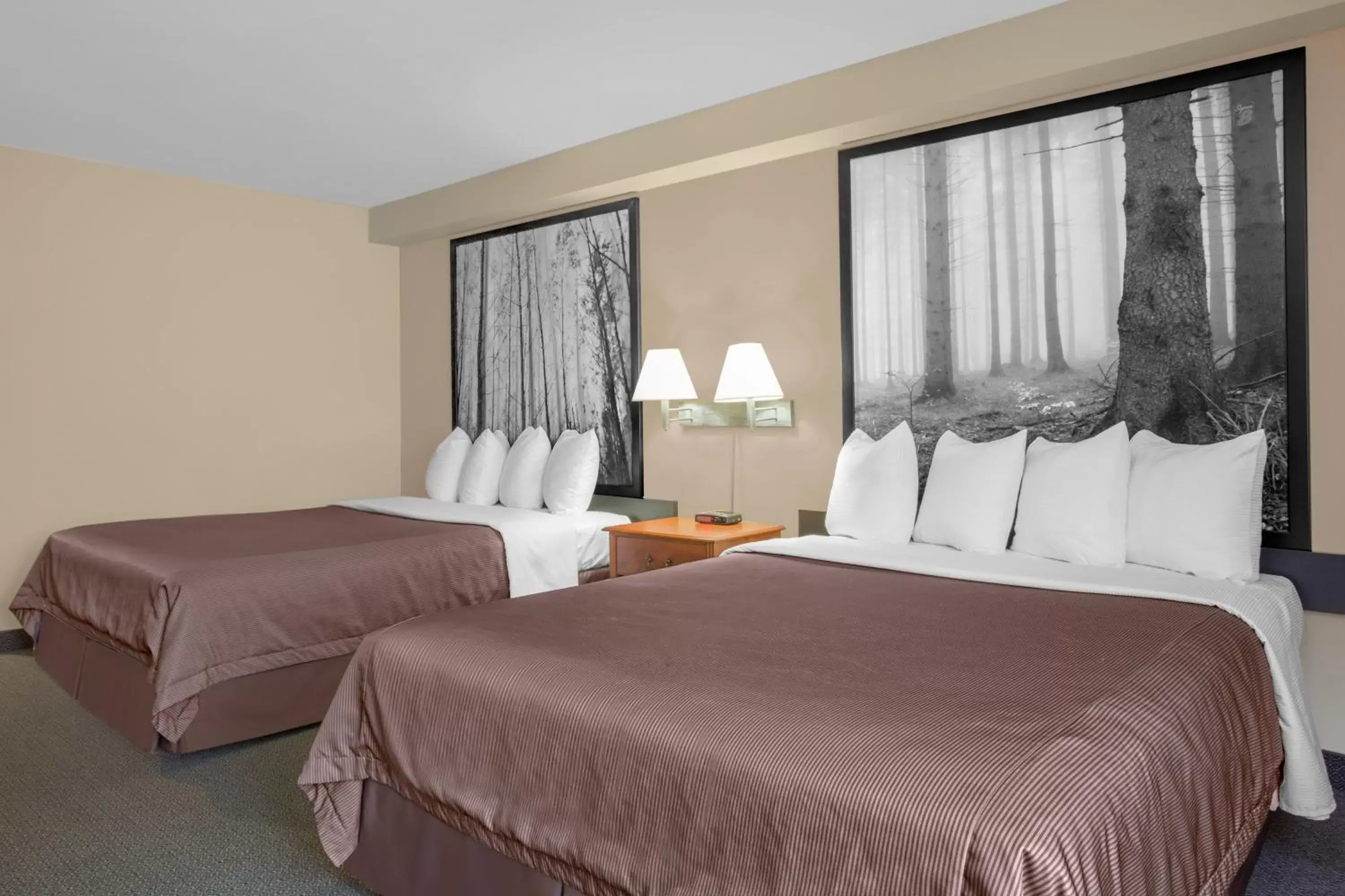Queen Room with Two Queen Beds - Non-Smoking in Super 8 by Wyndham Sault Ste Marie On Queen Room with Two Queen Beds - Non-Smoking in Super 8 by Wyndham Sault Ste Marie On