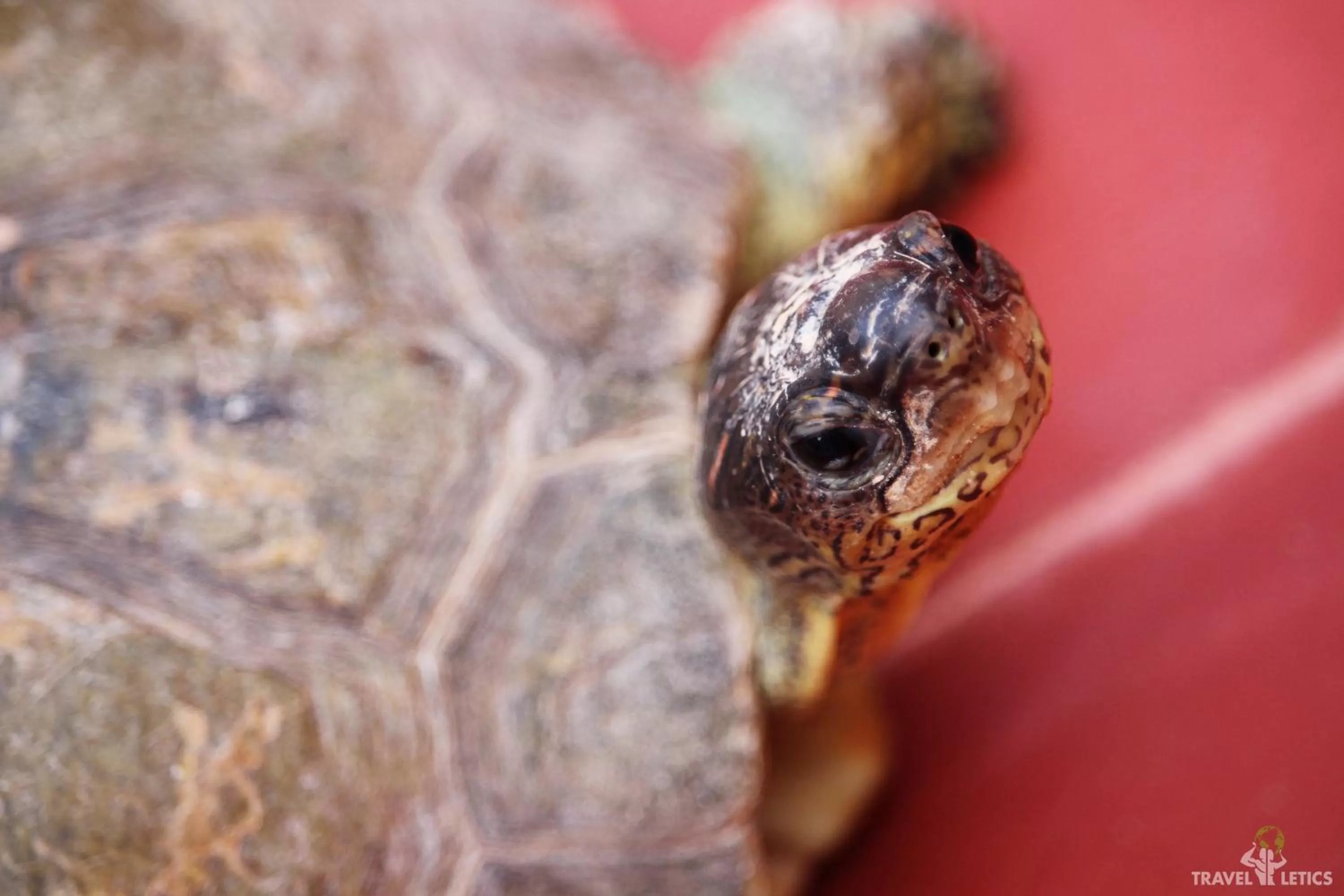 Patio in Hotel Mary Carmen