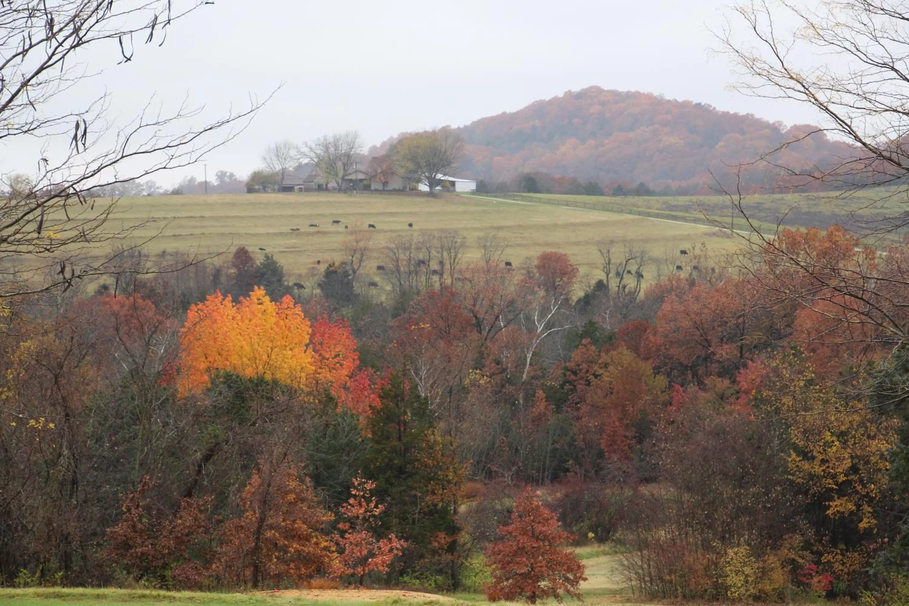 Natural landscape in Cedar Creek