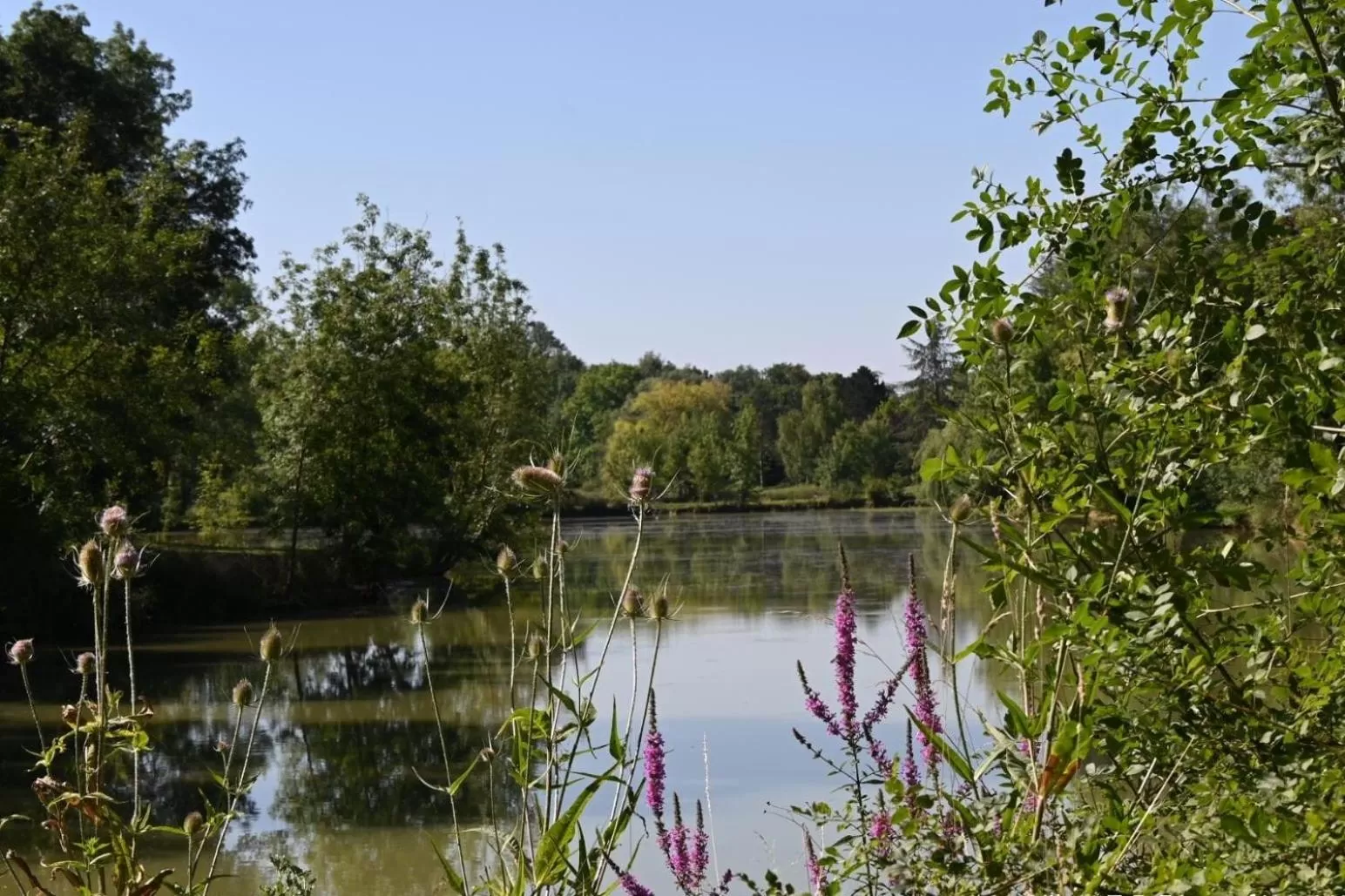 Lake View in Domaine de Boulouch