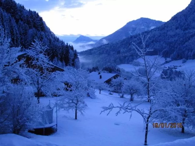Garden, Winter in Berggasthof Butzn Wirt