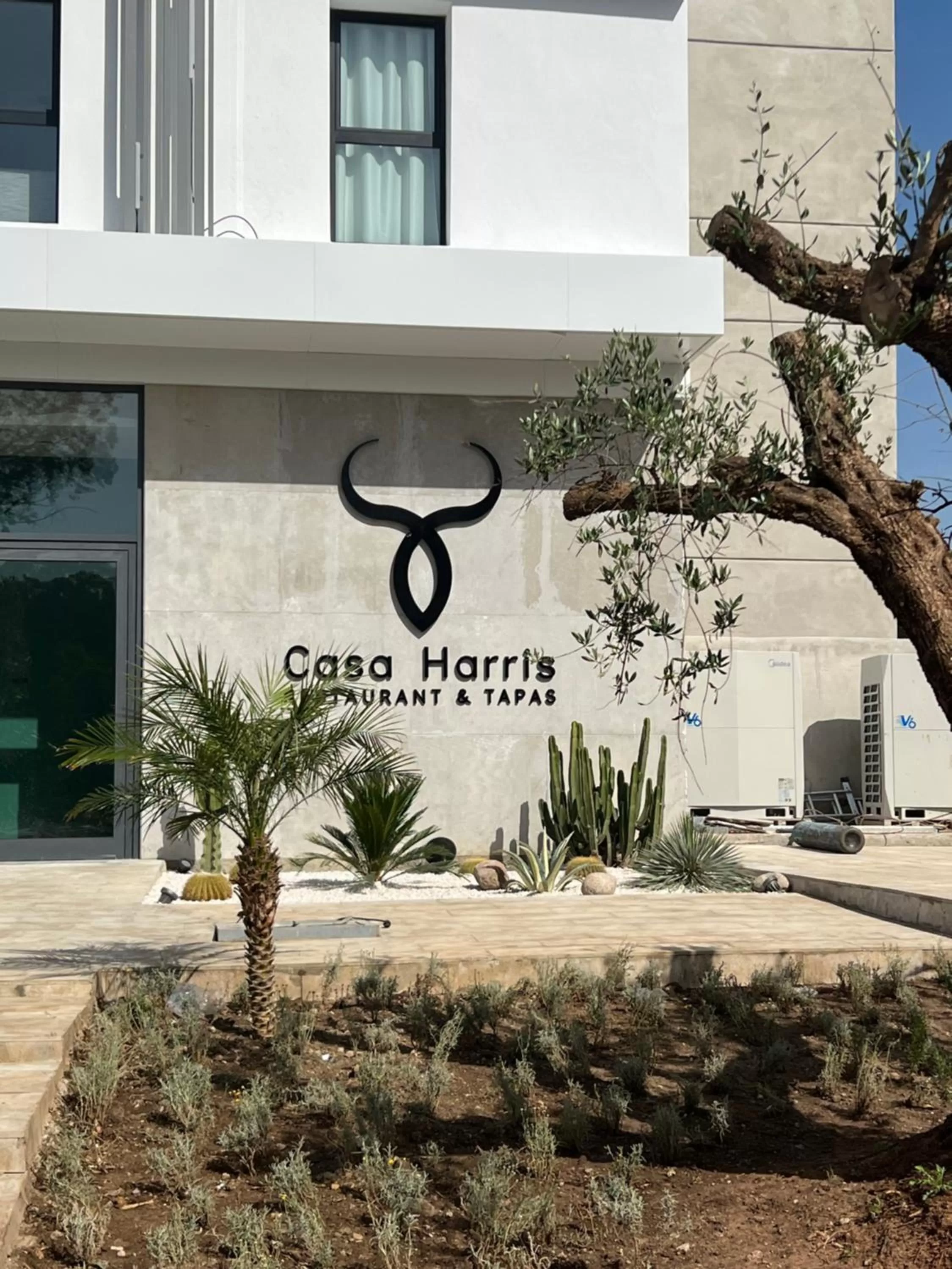 Restaurant/places to eat in Occidental Tanger