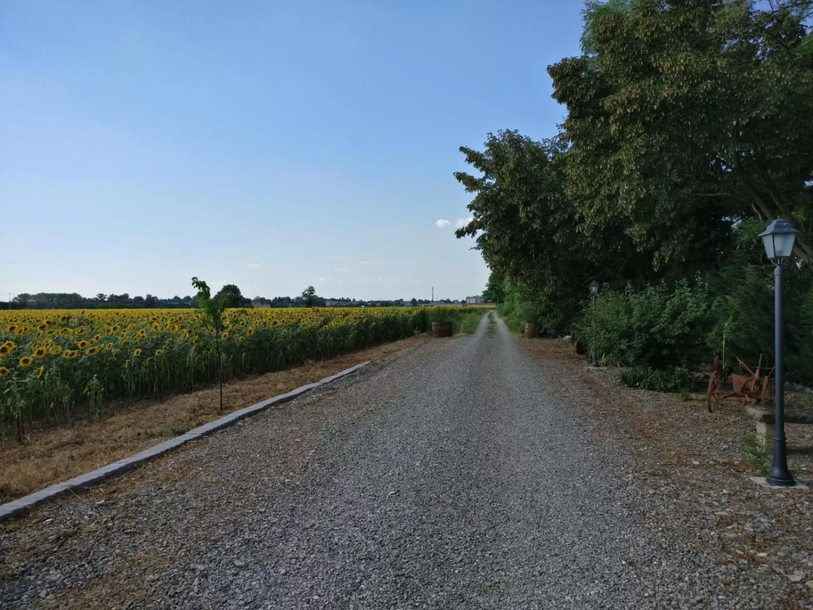 Natural landscape in B&B Molinetto