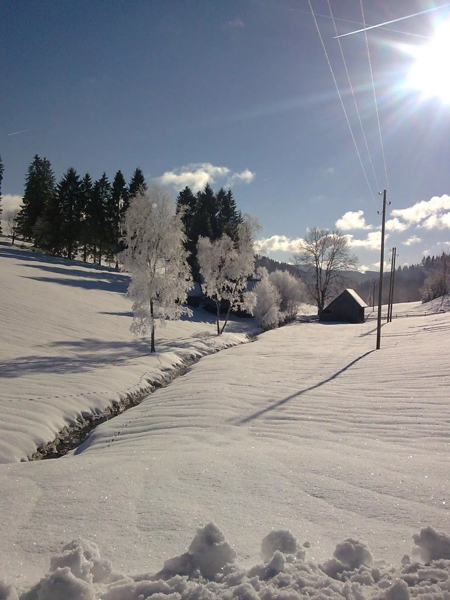 Natural landscape in ZUR TRAUBE Schwarzwaldhotel & Restaurant am Titisee