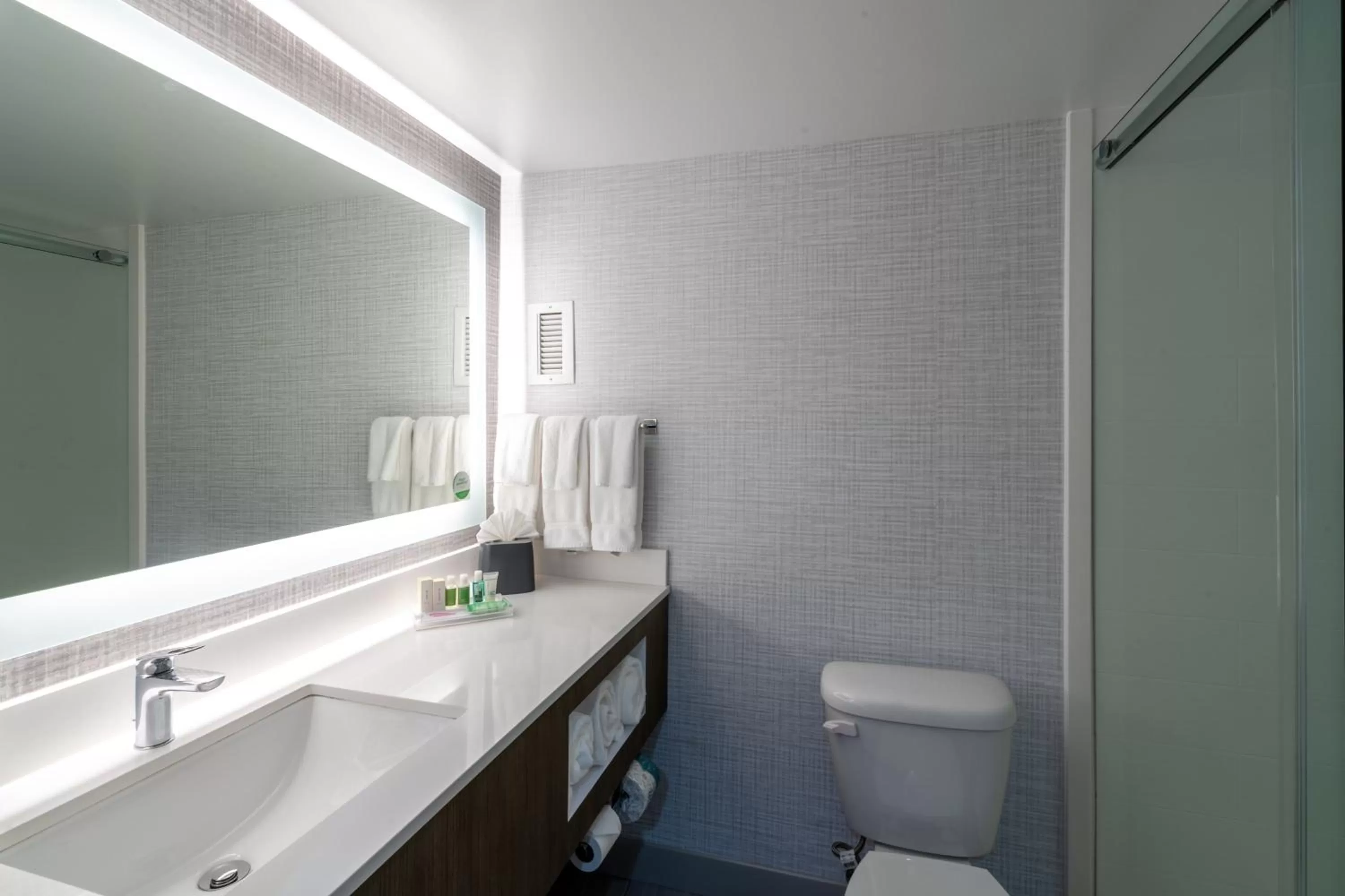 Bathroom in Holiday Inn Huntsville - Research Park by IHG