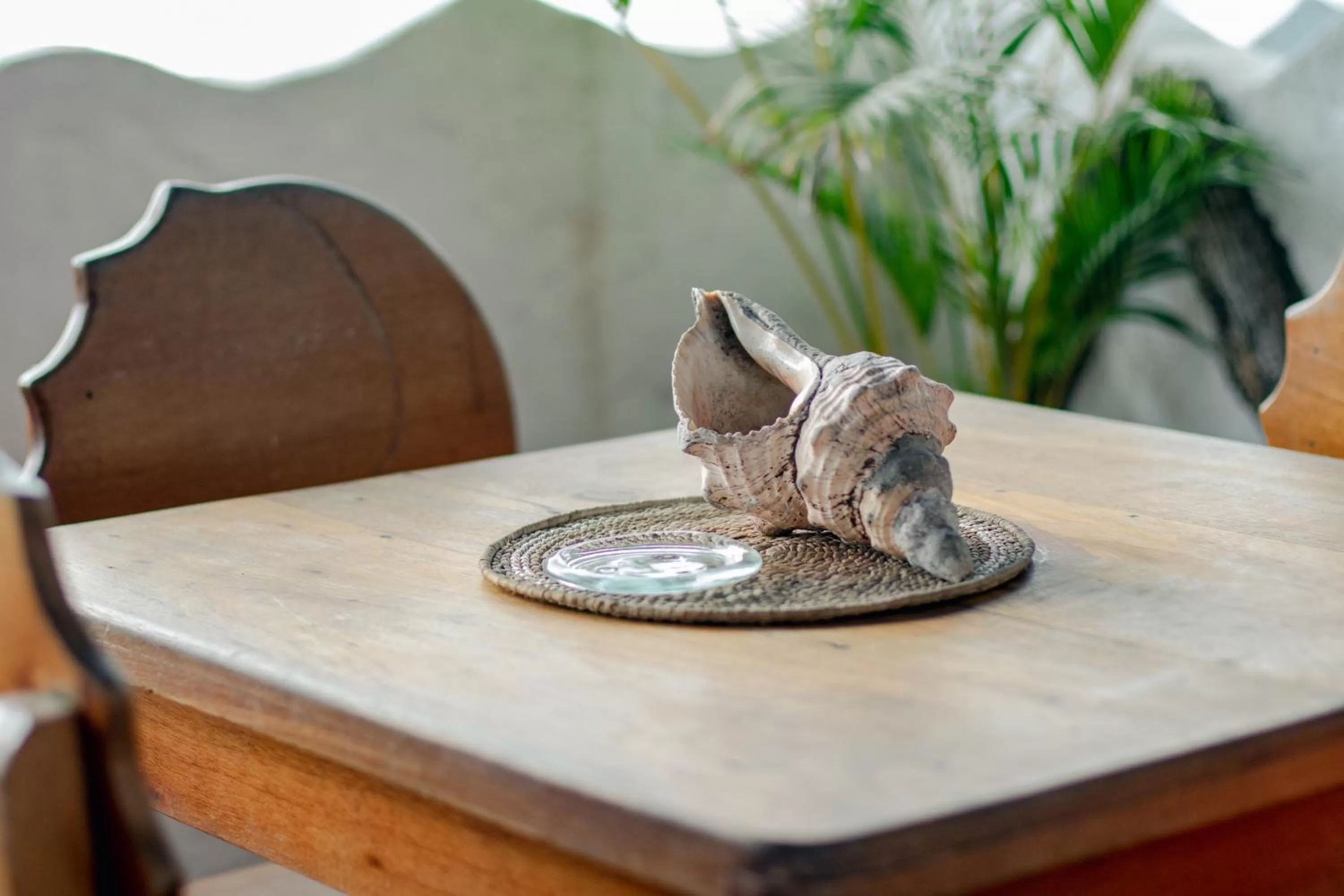 Decorative detail in Hotel Casa Blanca