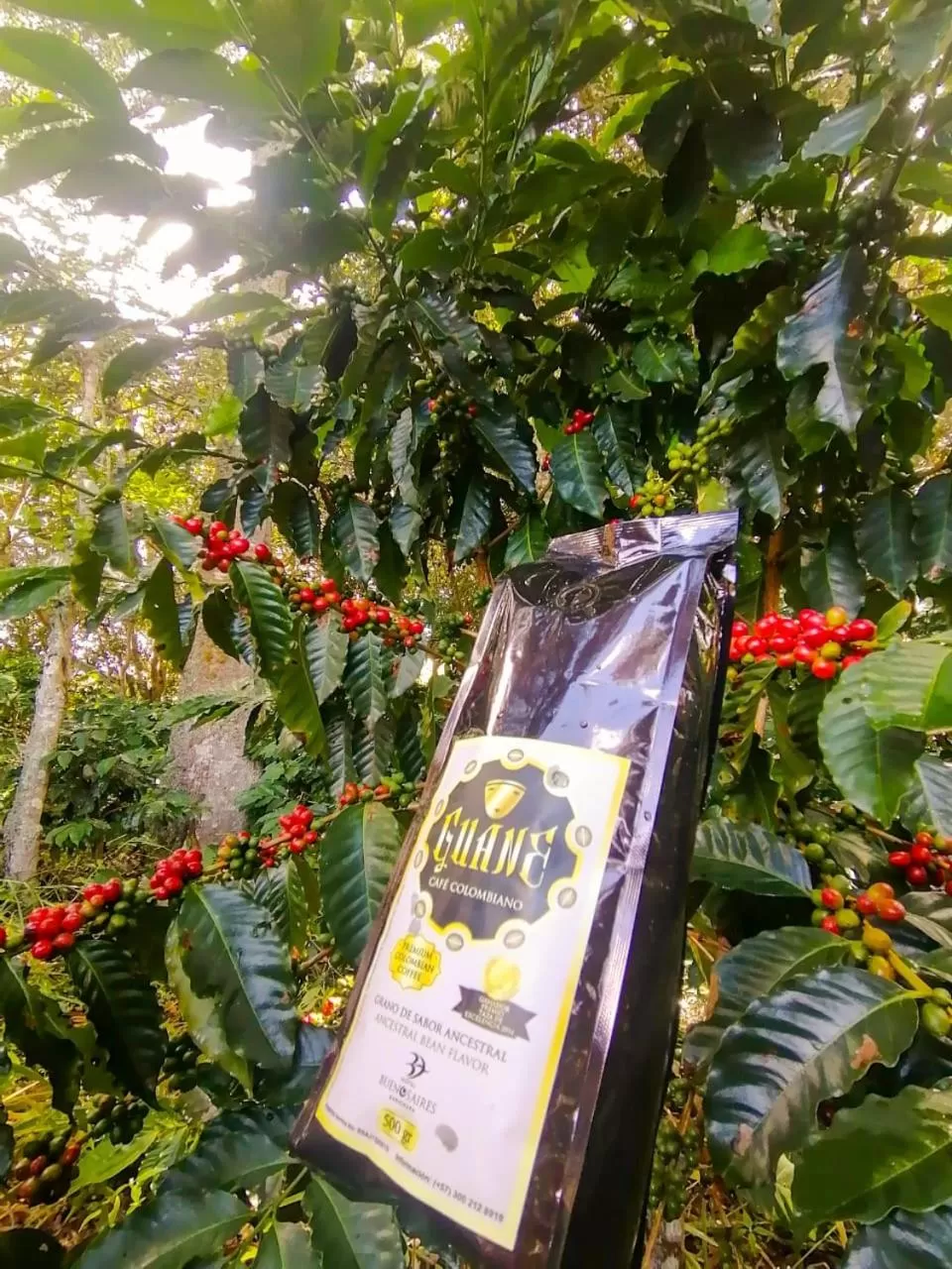 Garden view in Hotel Buenosaires Barichara