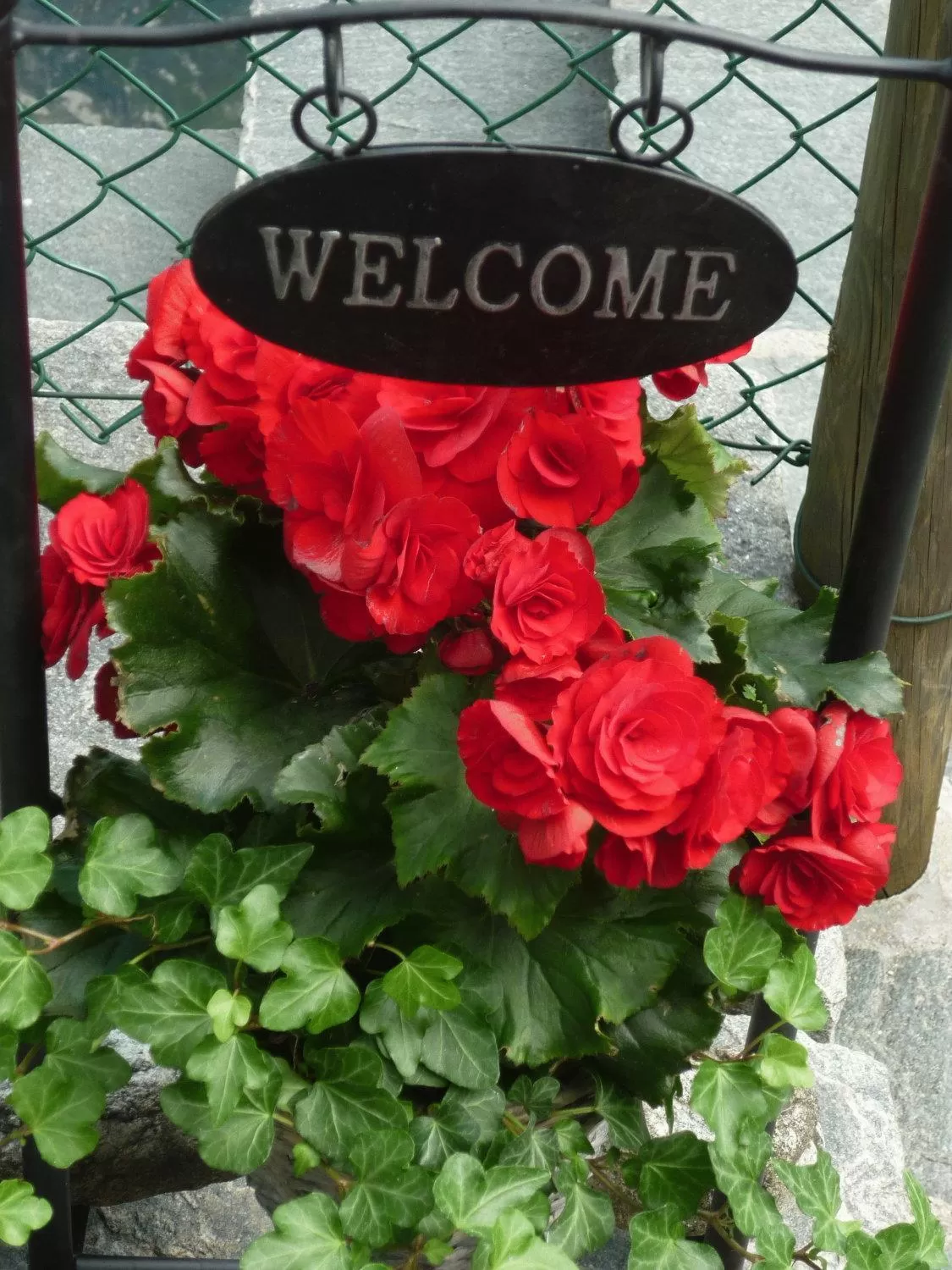 Decorative detail, Property Logo/Sign in Ristorante Charme Hotel Tre Terre