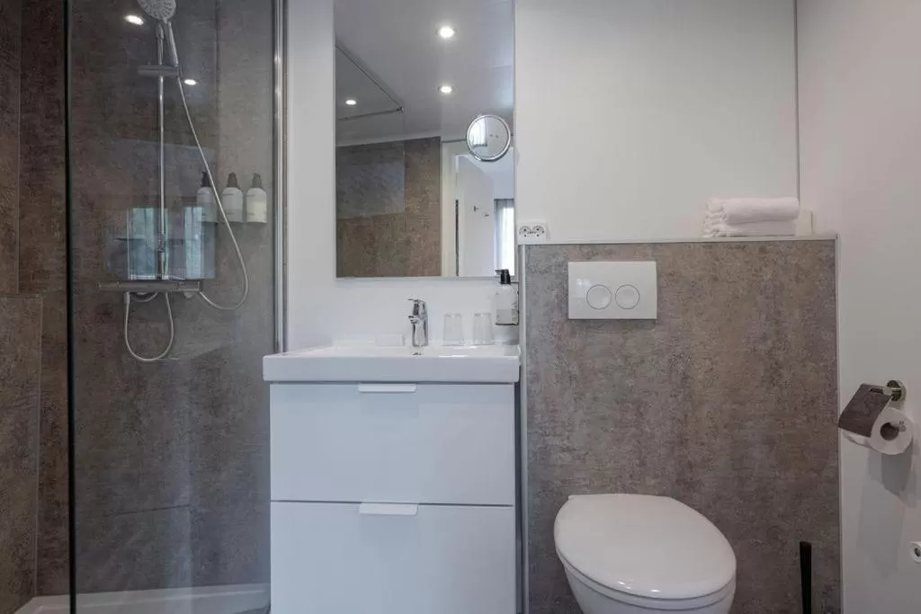 Bathroom in Boutique Hotel Slenaker Vallei - Buitengewoongenieten