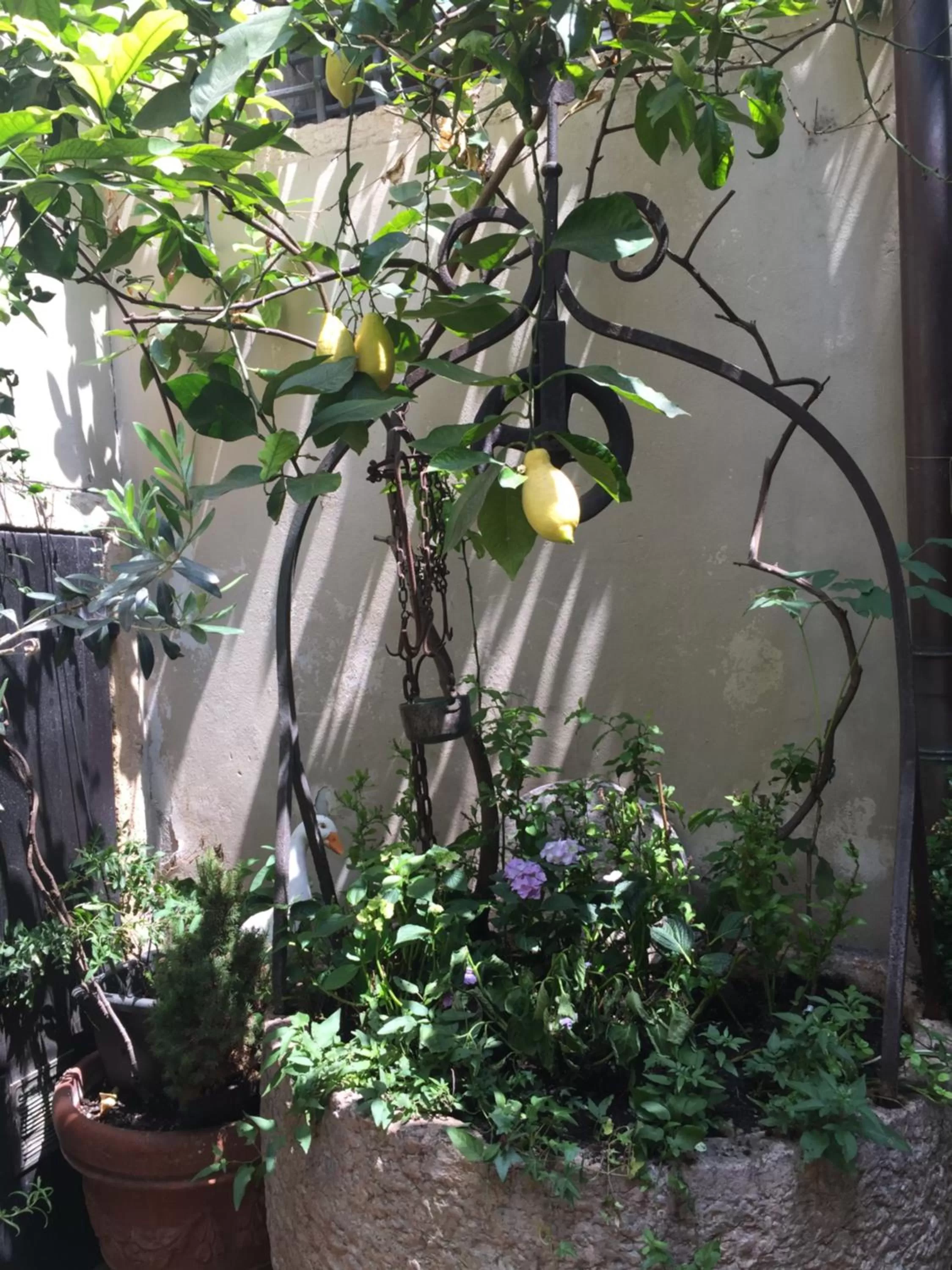 Balcony/Terrace in Hotel Gabbia D'Oro
