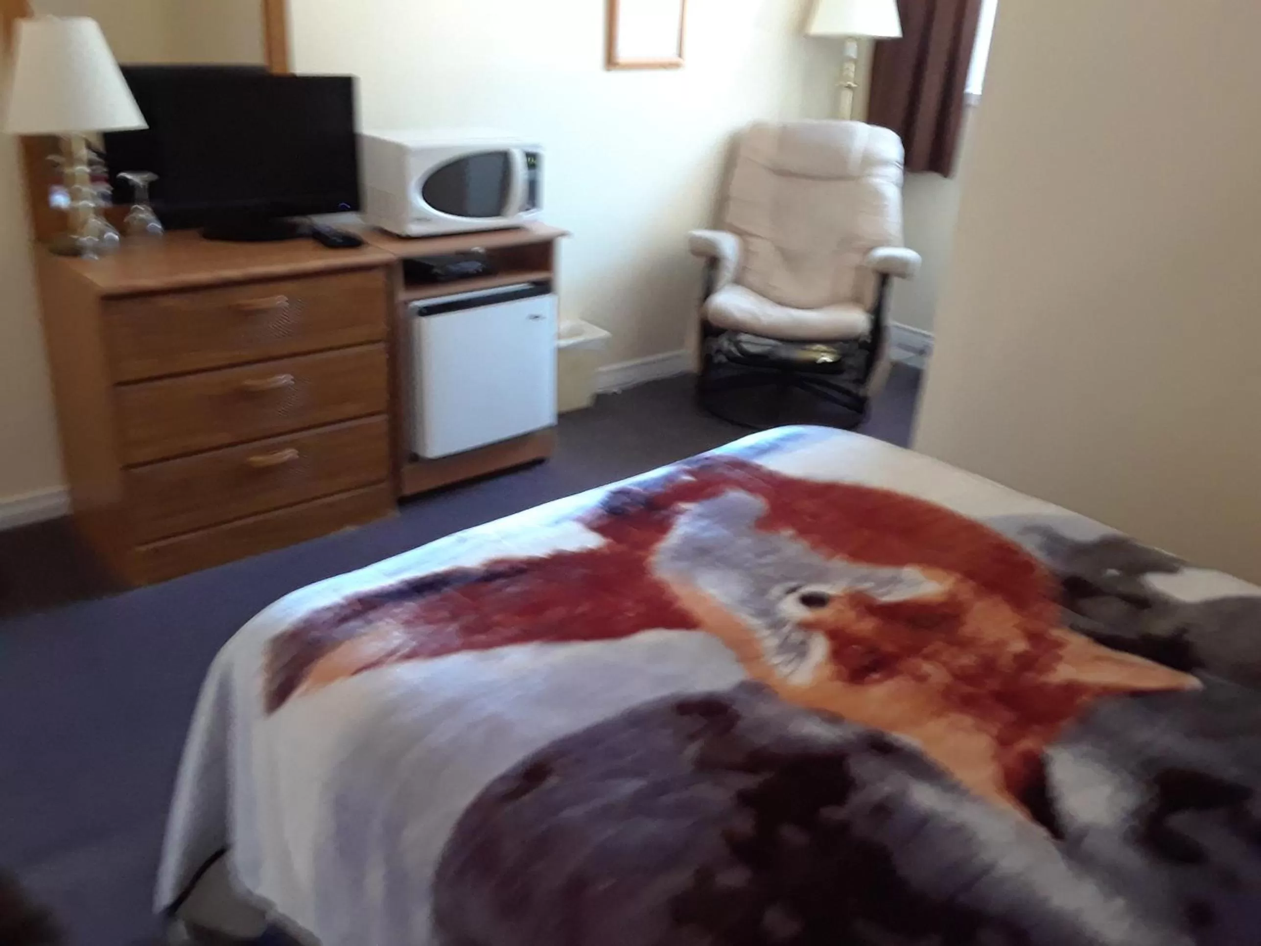 Bed in Mountain View Motel