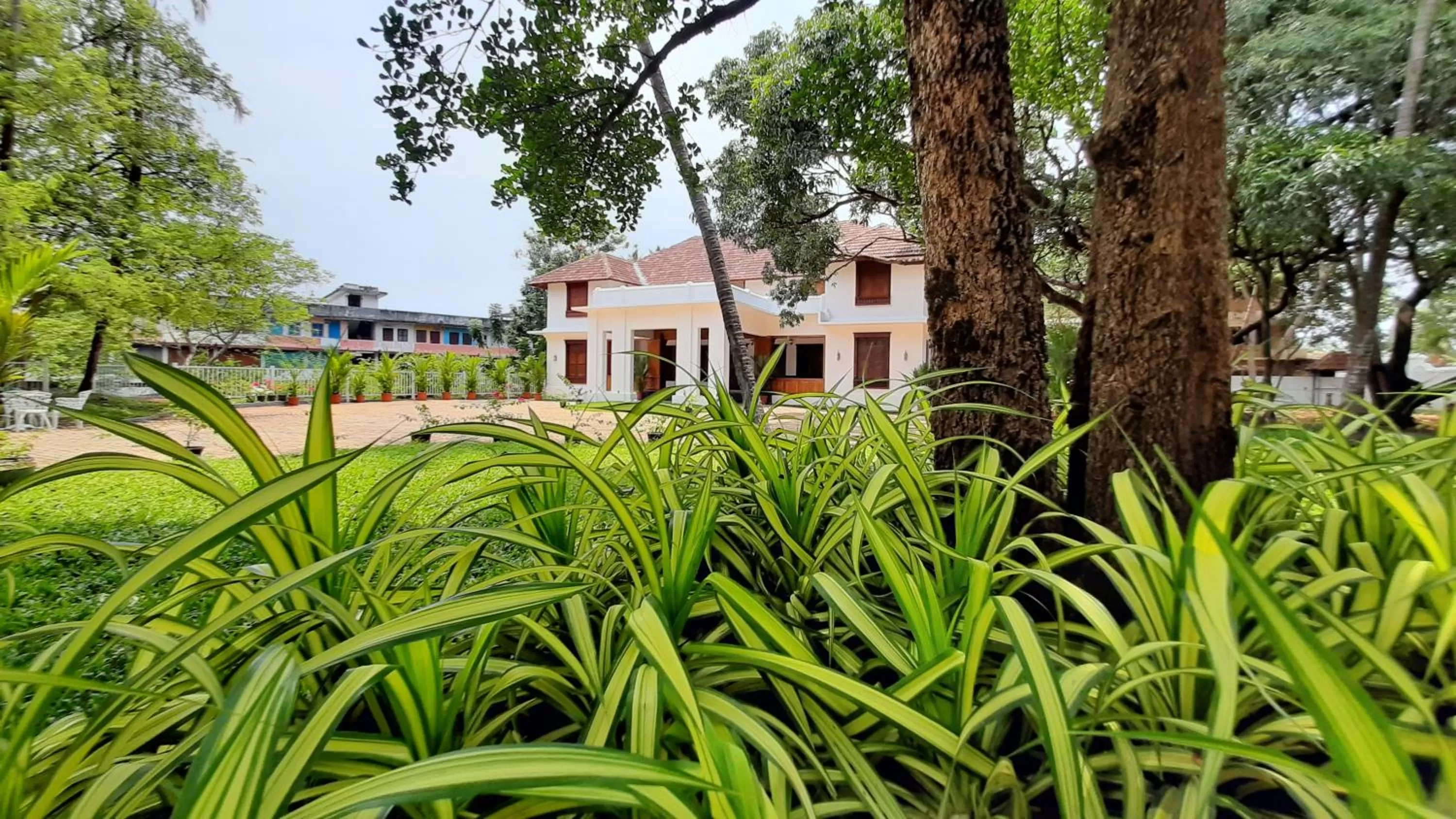 Property building in Surya Heritage Hotels