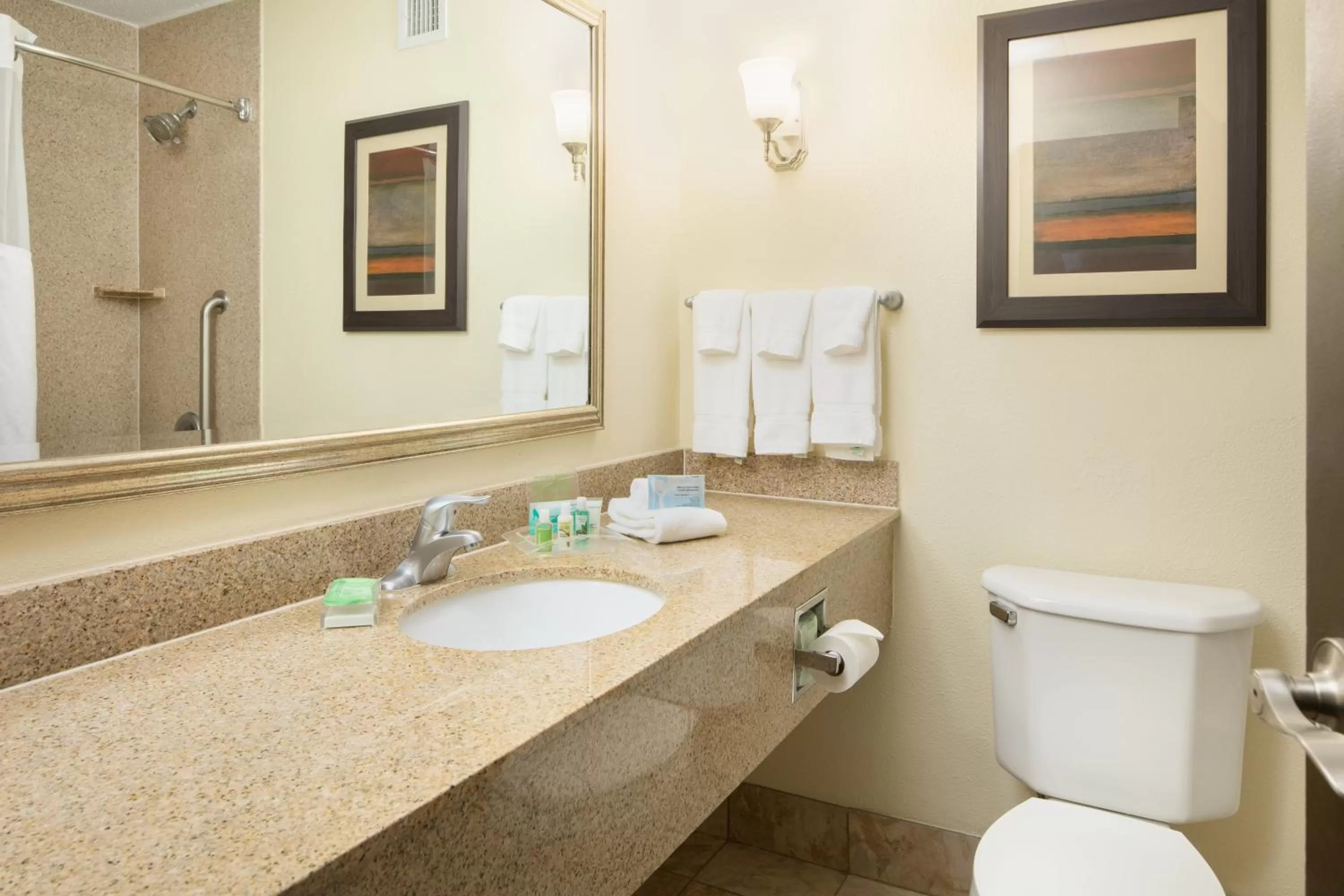 Bathroom in Holiday Inn and Suites Charleston West by IHG