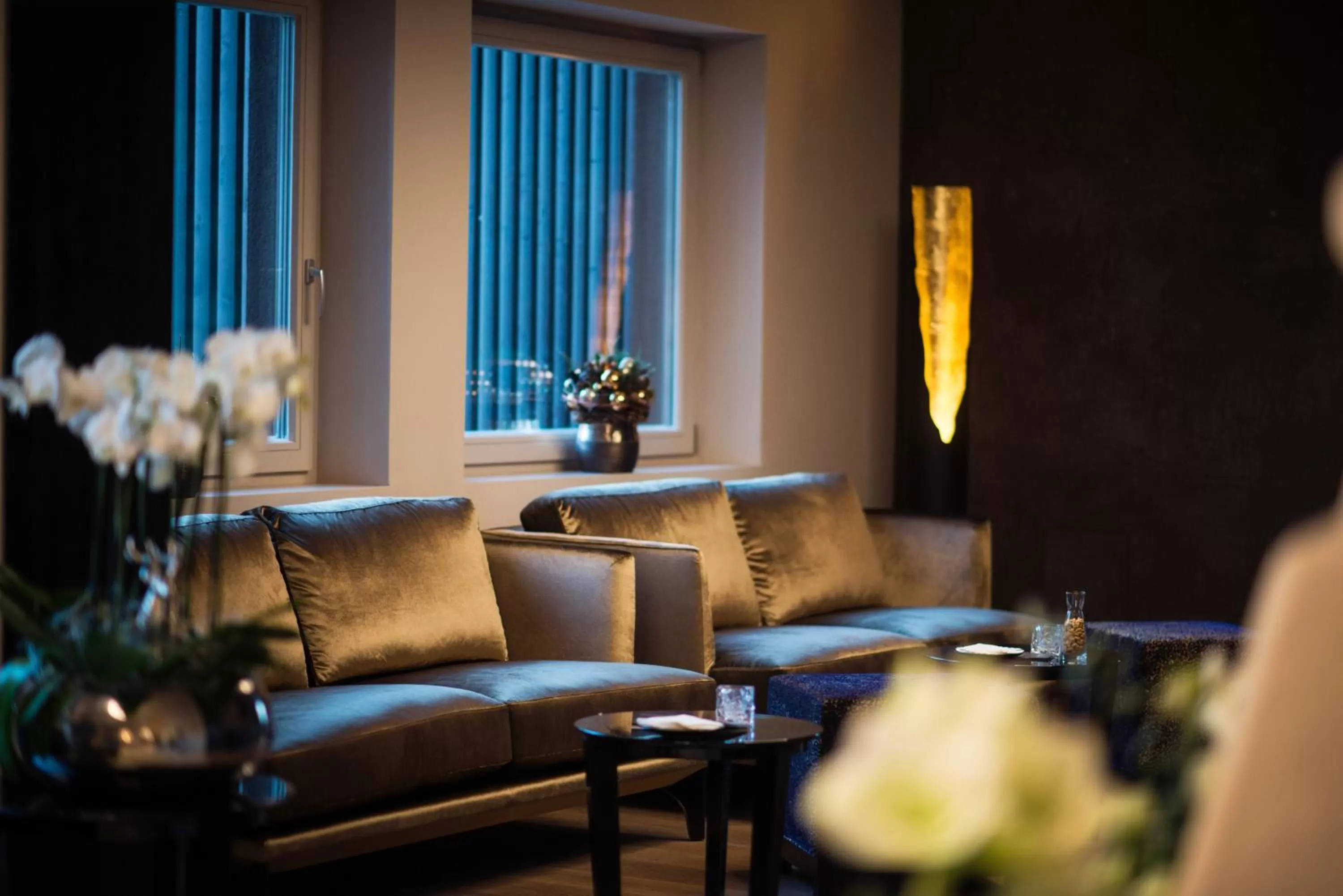 Lobby or reception in Alpenrose Kufstein