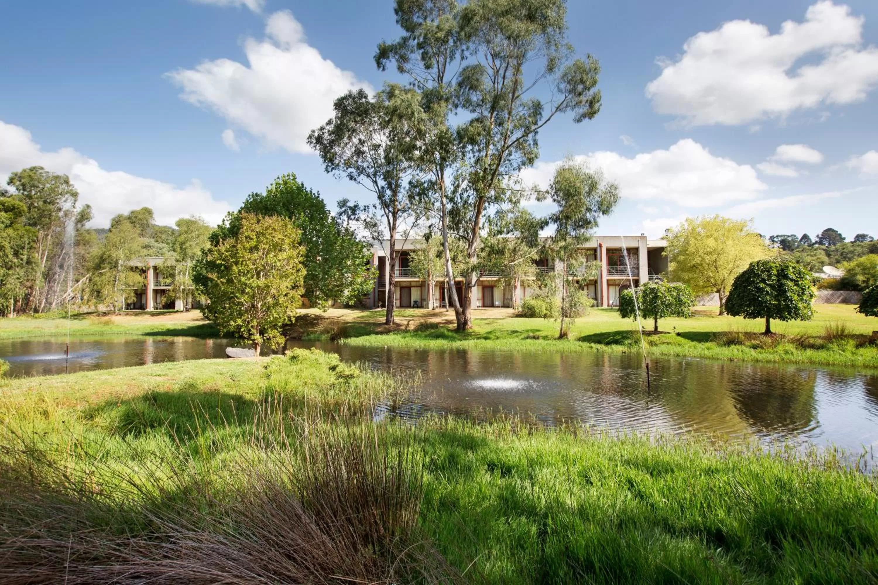 Area and facilities in Nightcap at York on Lilydale