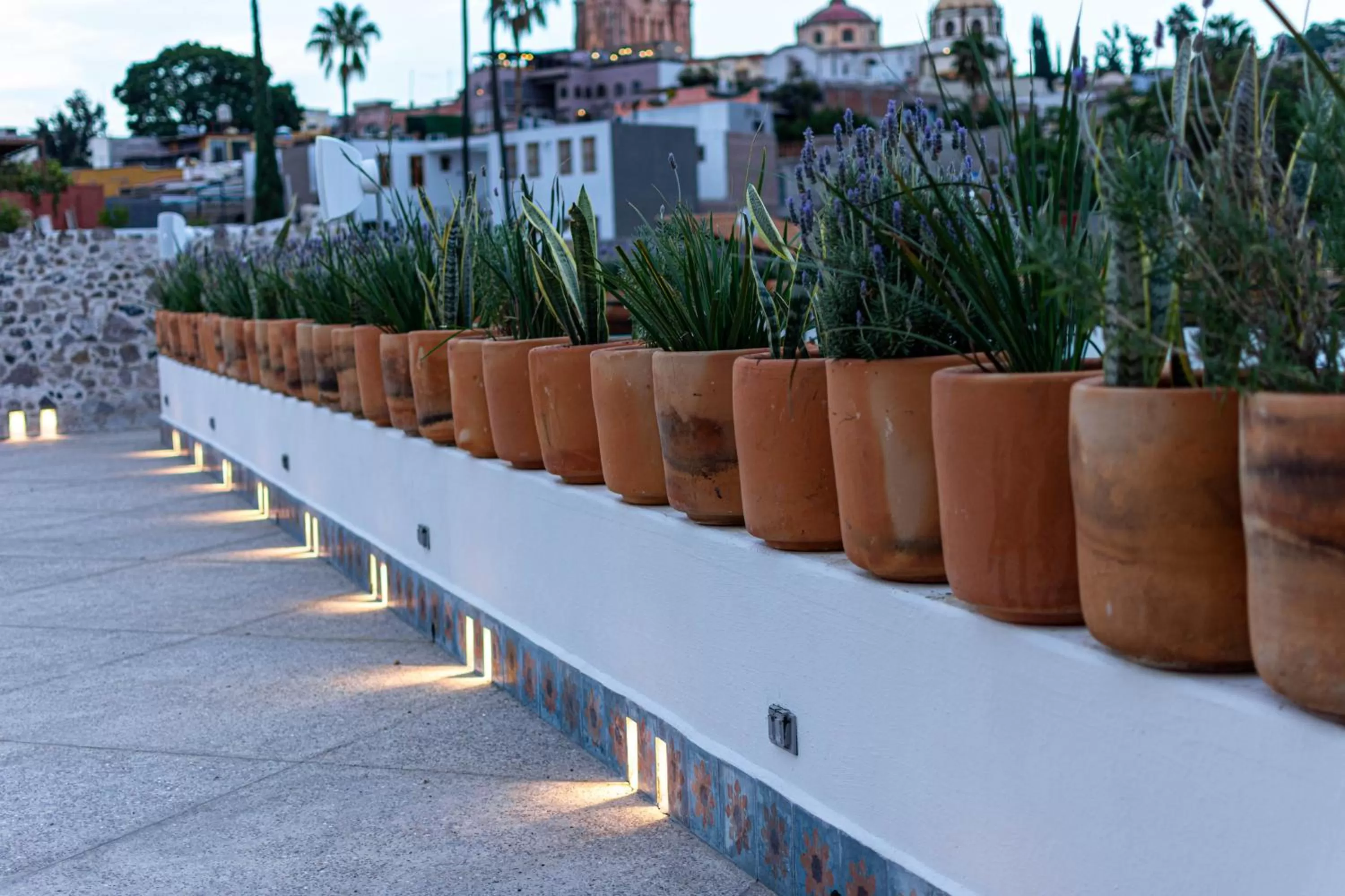 Casa 1810 Parque Hotel Boutique