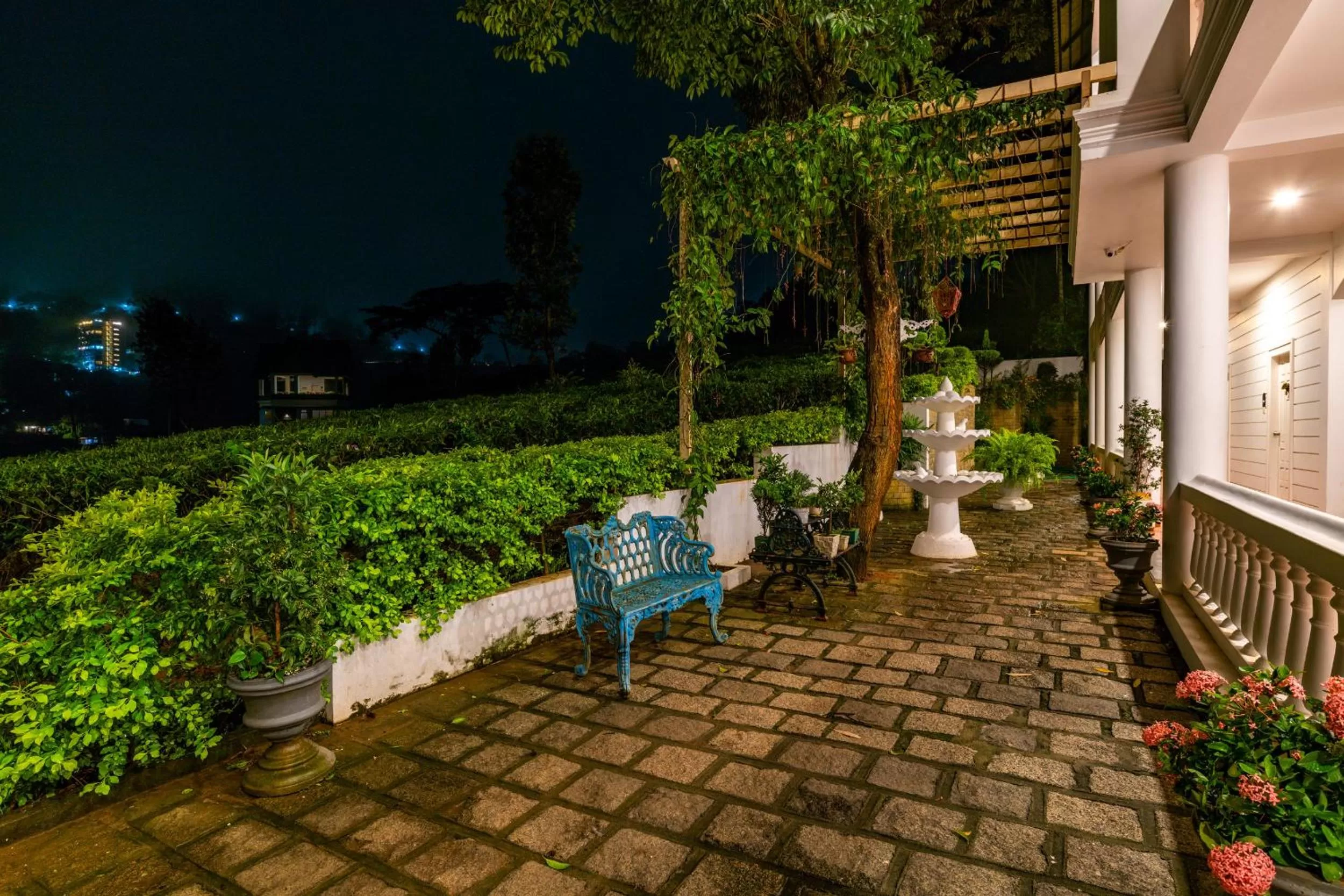 Patio in Tea Harvester