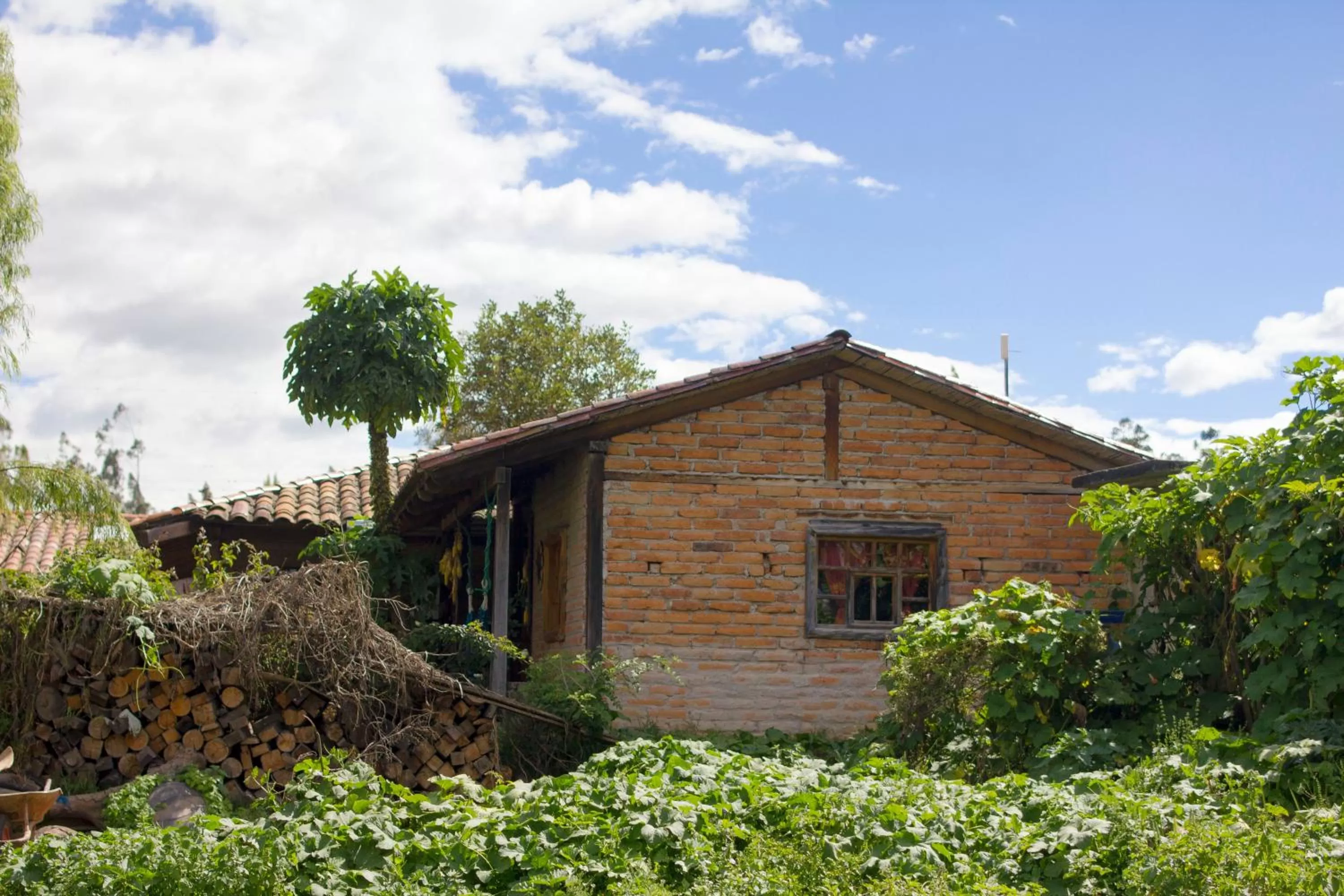 Property Building in Kallpa Wasi