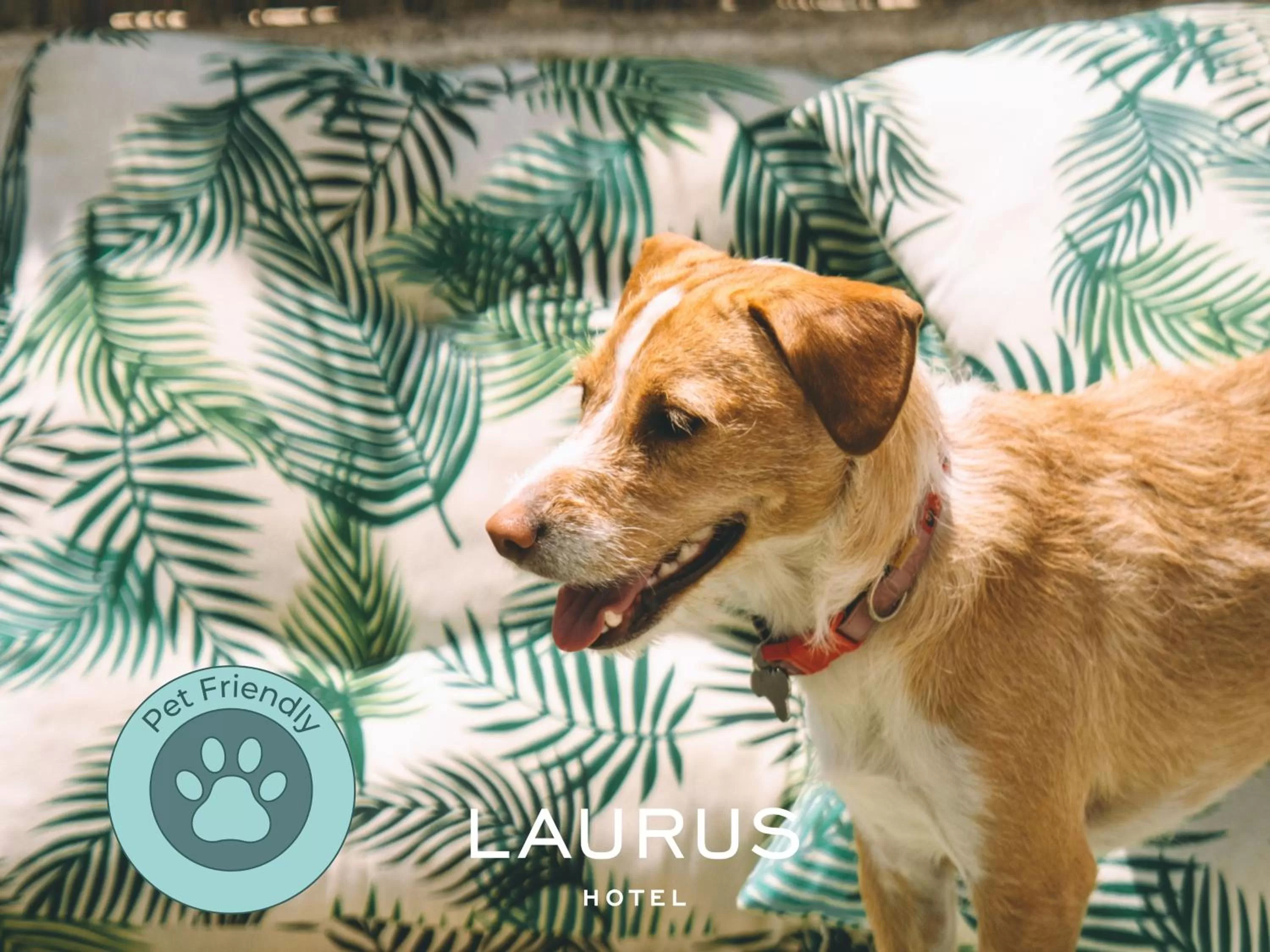 Animals in Laurus Hotel