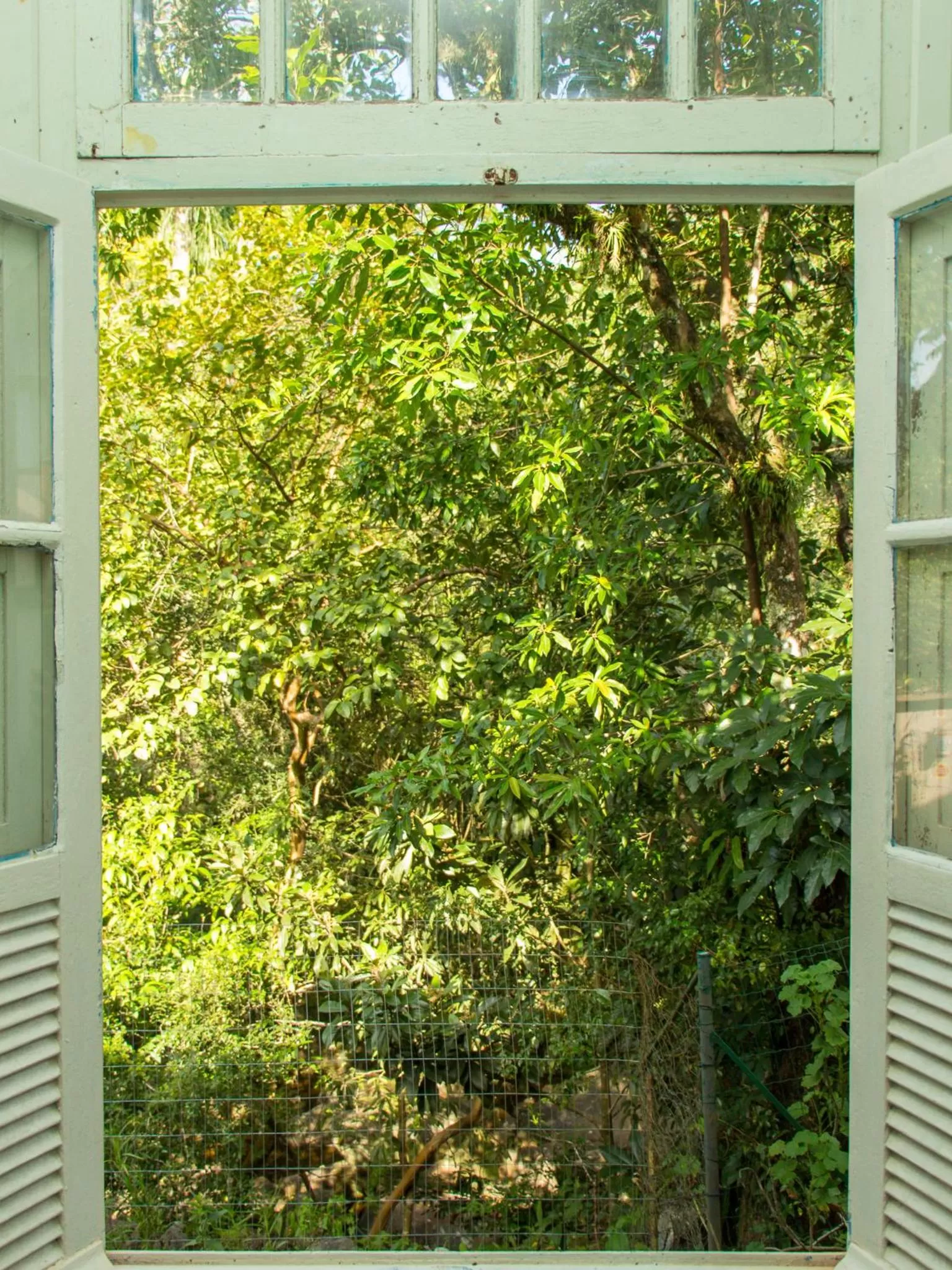 Hotel Caldas da Imperatriz