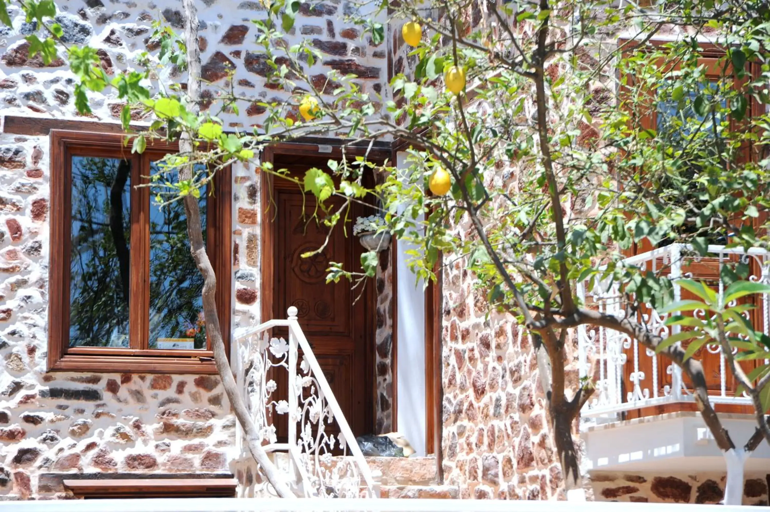 Standard Room in Lemon Villa Hotel Standard Room in Lemon Villa Hotel