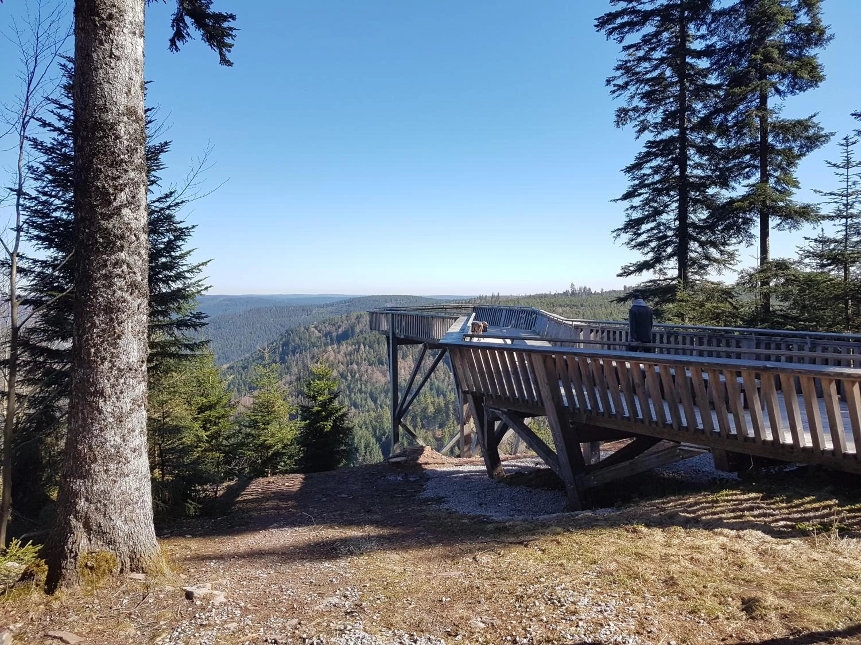 Natural landscape in Hotel Restaurant Kniebishöhe