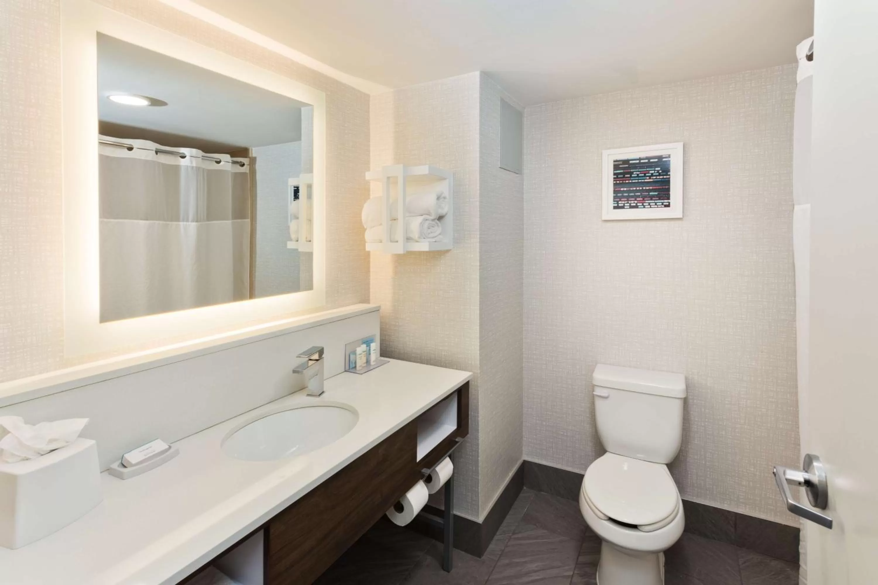 Bathroom in Hampton Inn & Suites Lanett/West Point