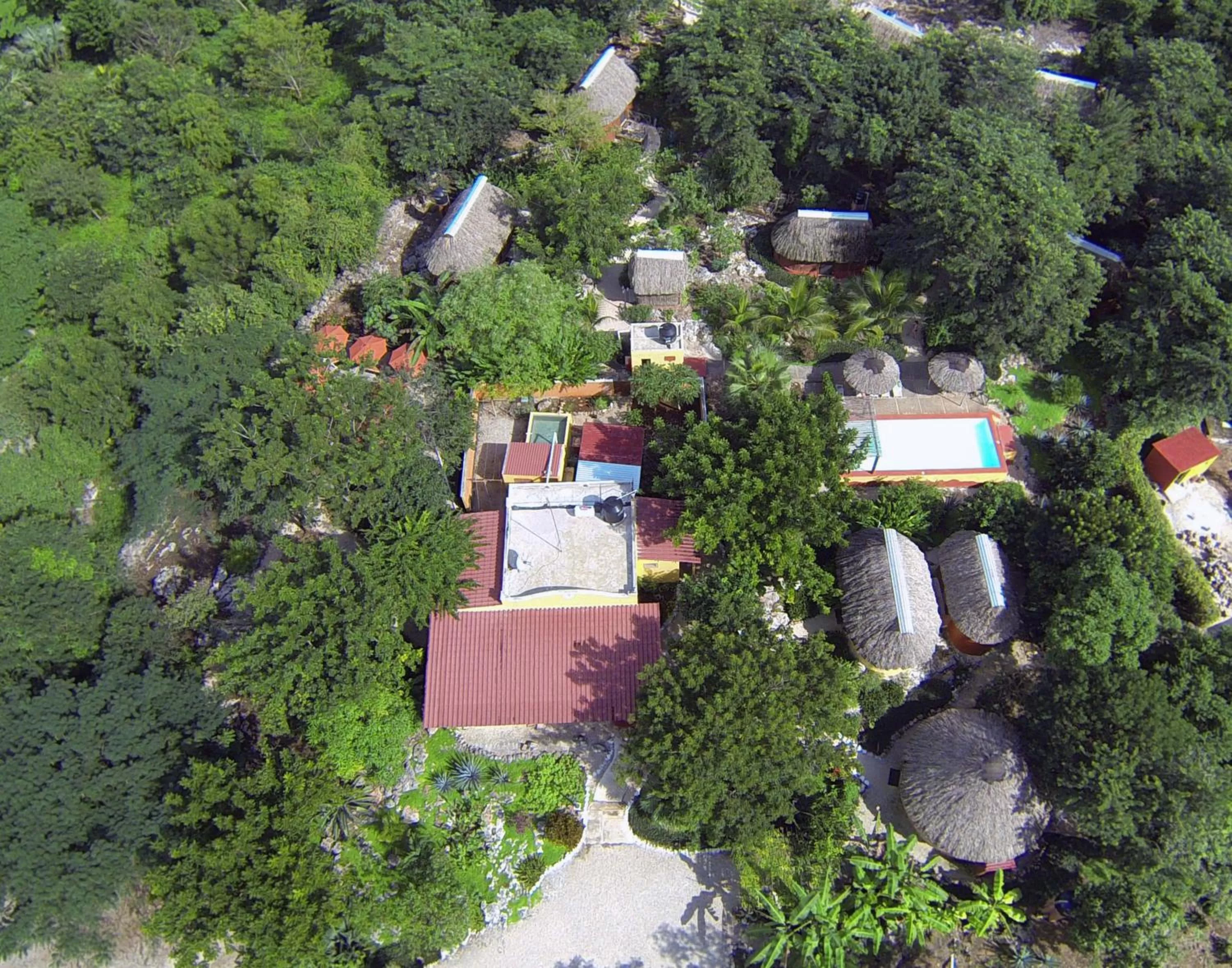 Bird's eye view, Bird's-eye View in The Pickled Onion Eco-Boutique B&B