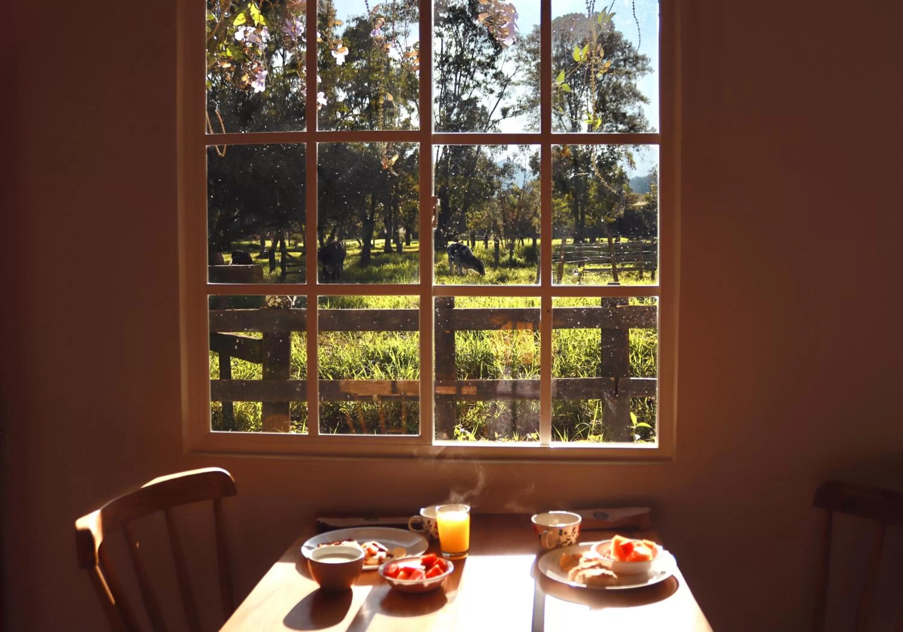 Dining area, Restaurant/Places to Eat in La Cabaña Ecohotel - Valle del Cocora