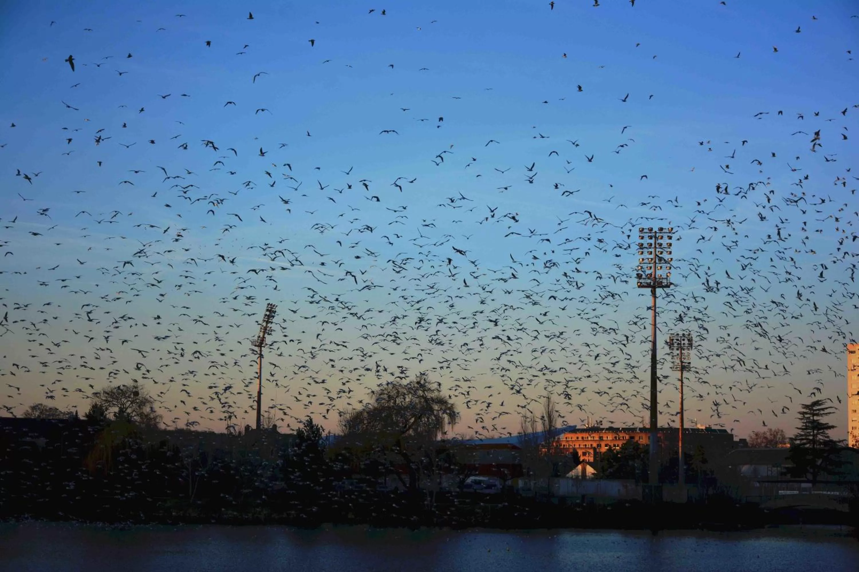 View (from property/room) in Logis - Hôtel & Restaurant des Lacs Paris Sud