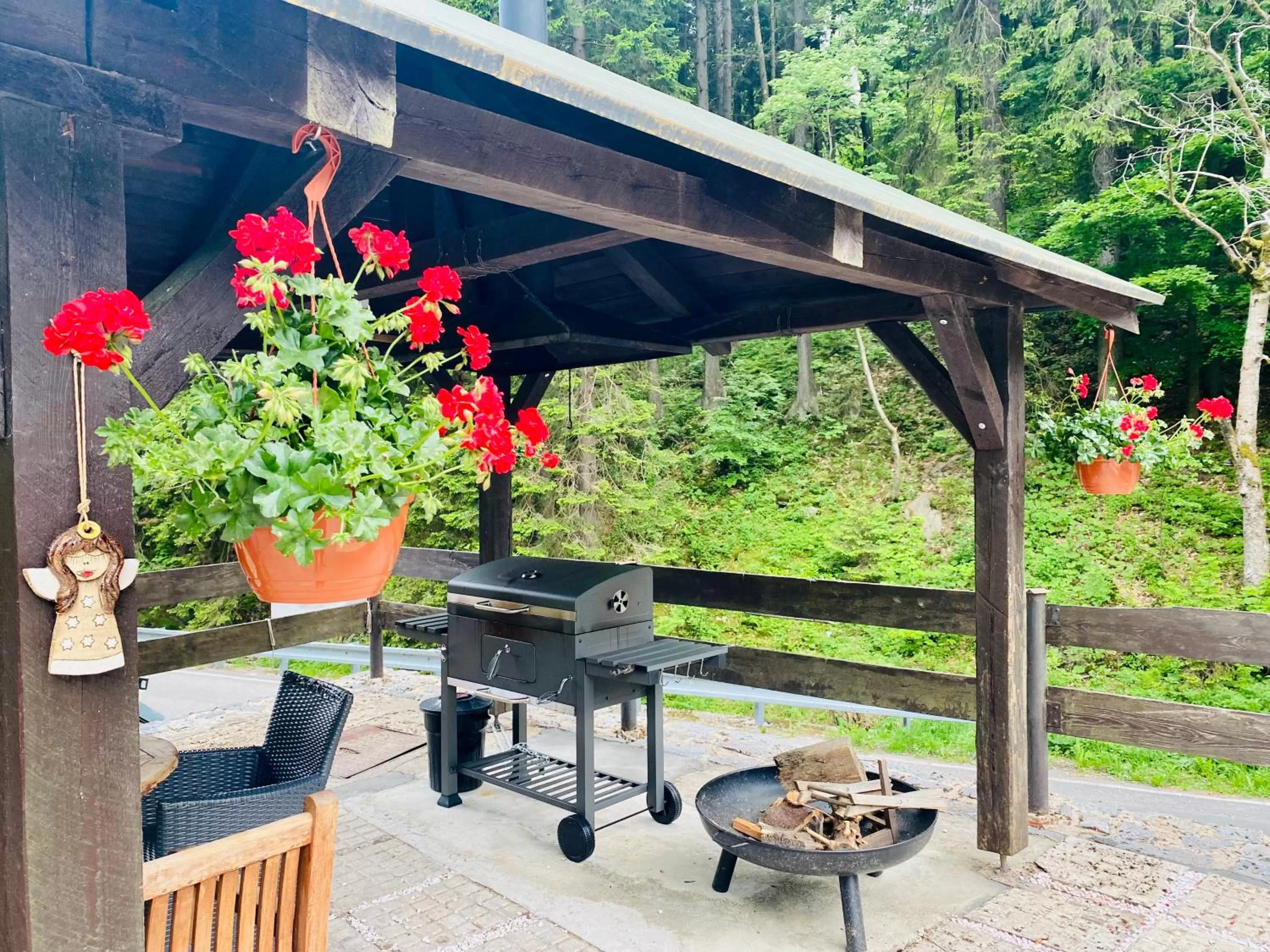 BBQ facilities in Hotel Petski