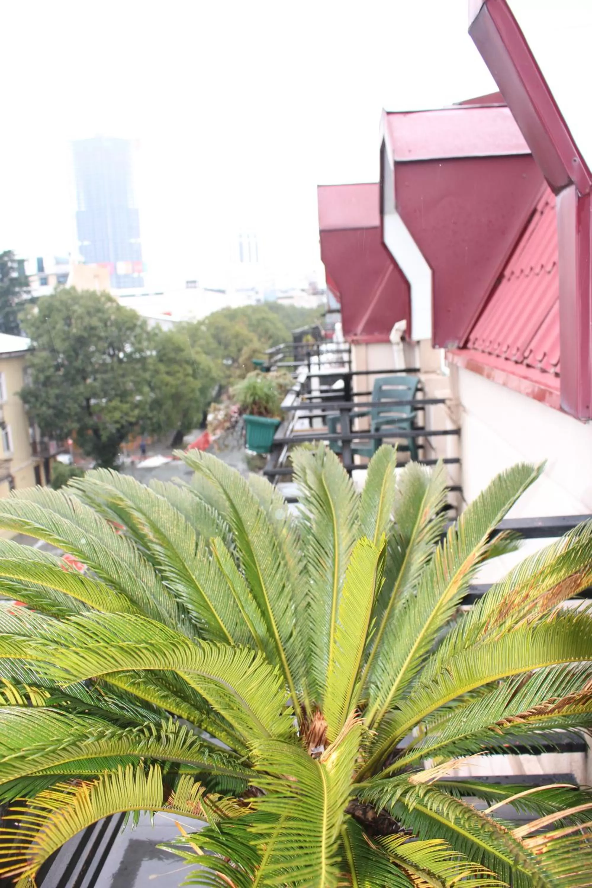 Property Building in IRISE