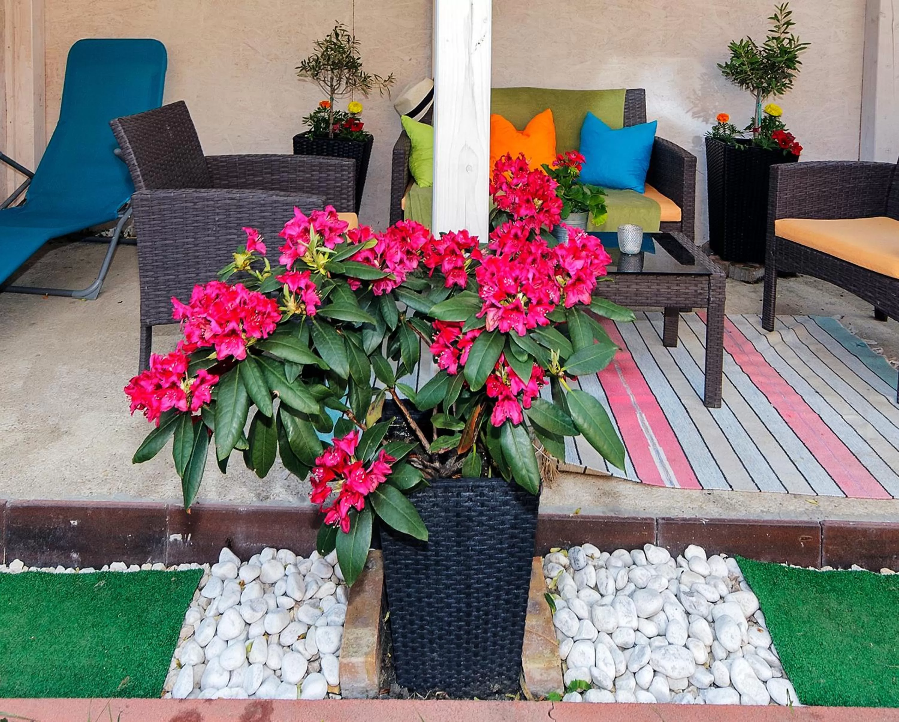 Garden in Vintiamo Apartmanok