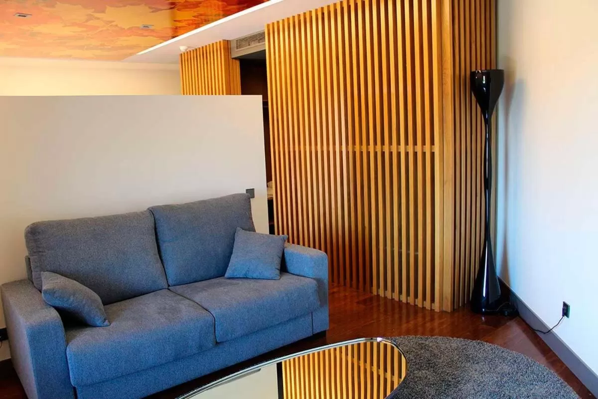 TV and multimedia in Hotel Raíz