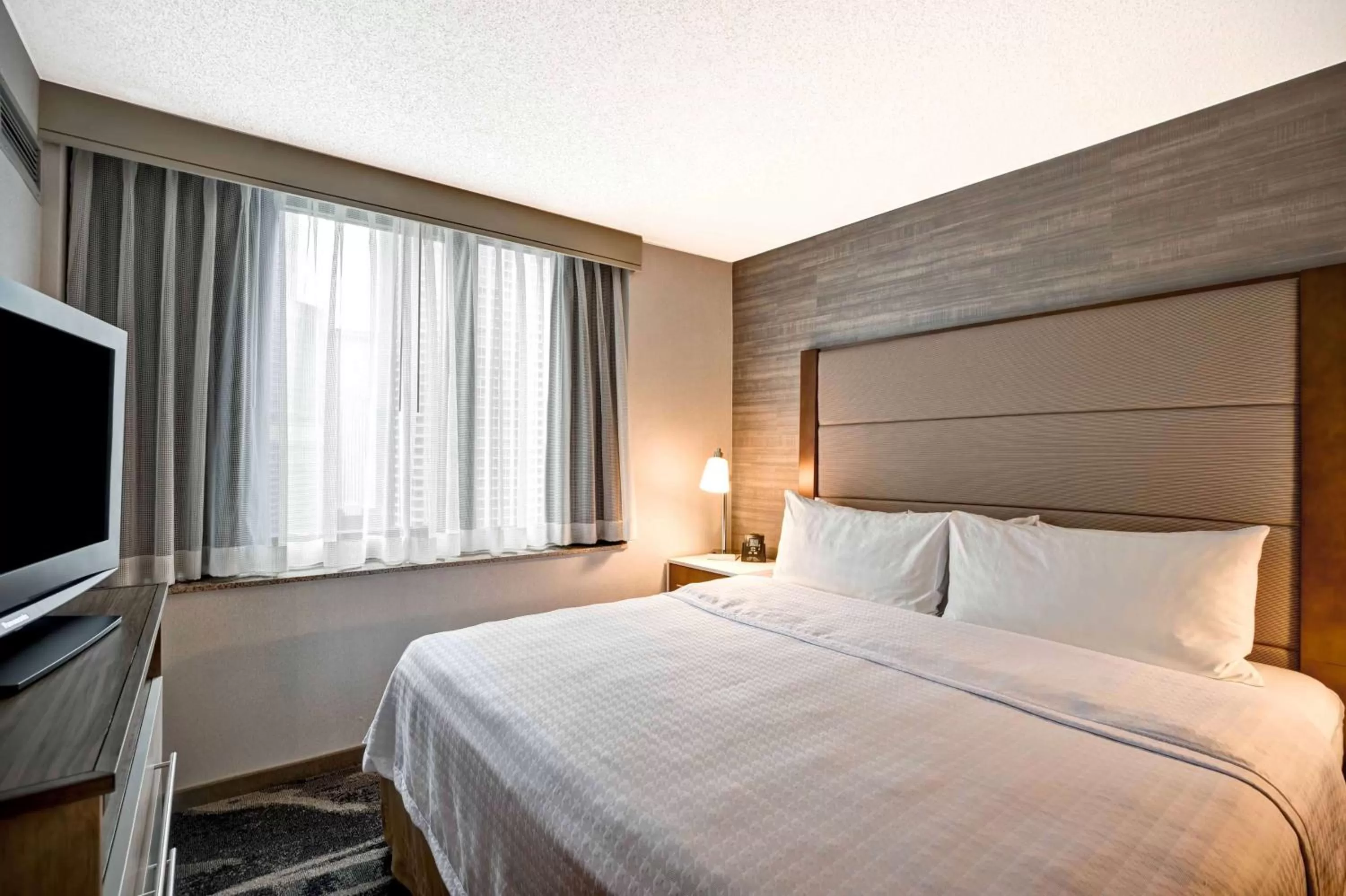 One-Bedroom King Suite with Sofa Bed and Bathtub - Non-Smoking/Disability Access in Homewood Suites by Hilton Chicago Downtown