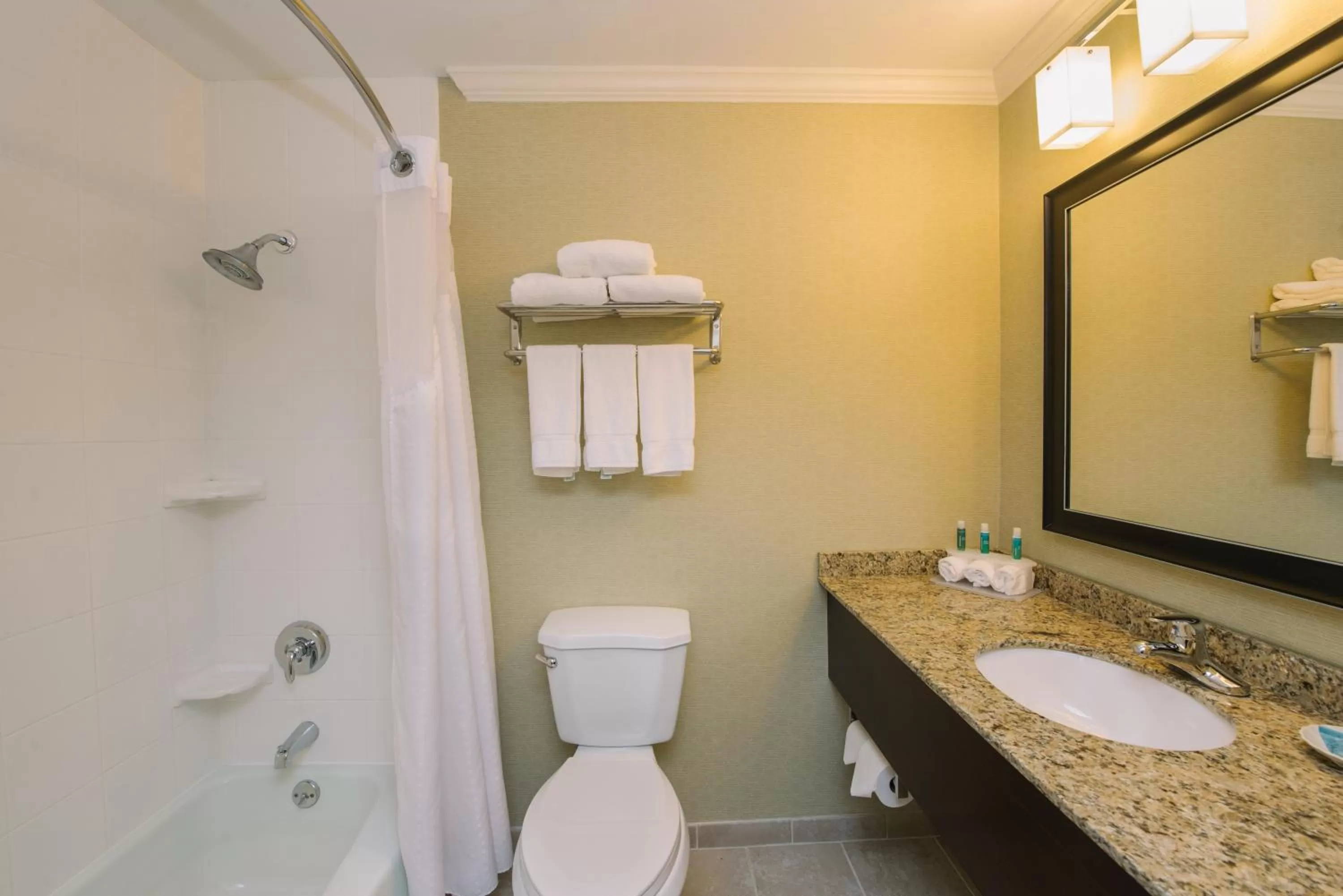 Bathroom in Holiday Inn Express and Suites Merrimack by IHG