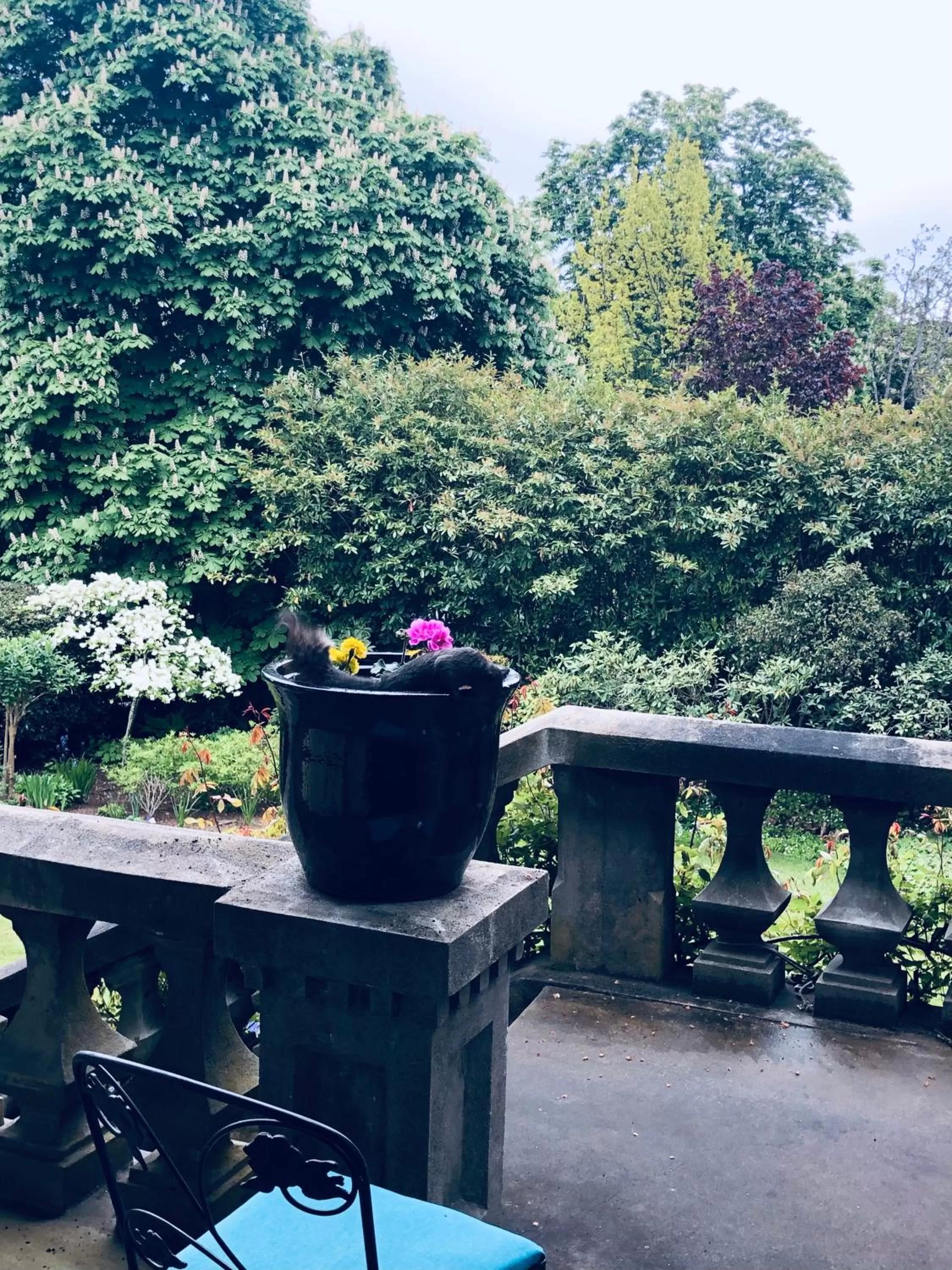 Patio in Prior Castle Inn