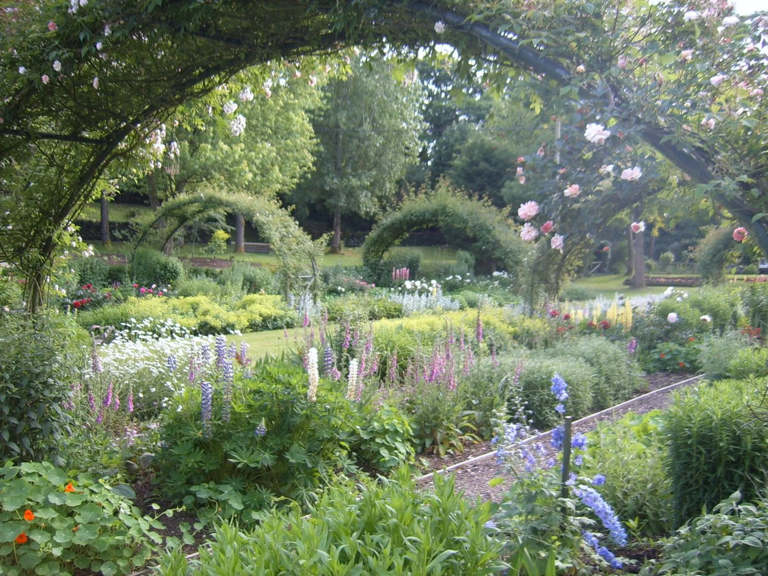 Garden in Passford House Hotel