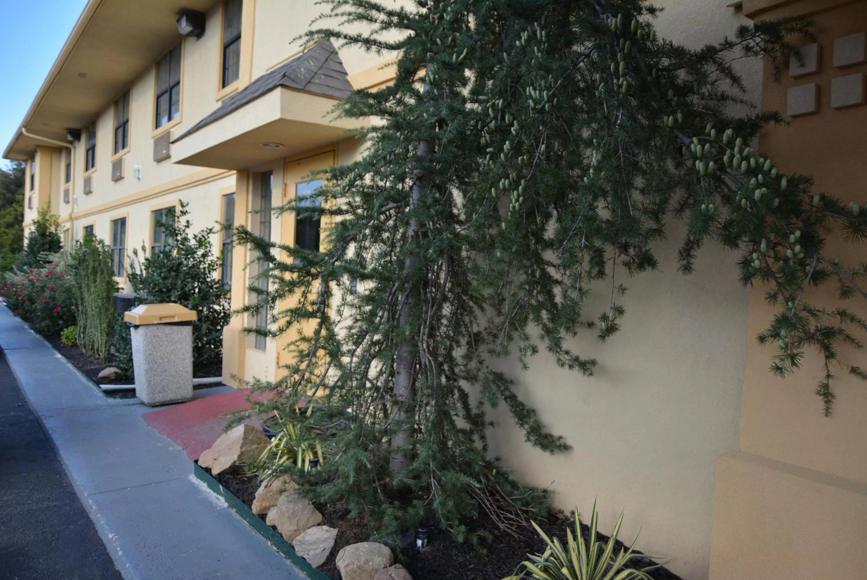 Super 8 by Wyndham Sulphur