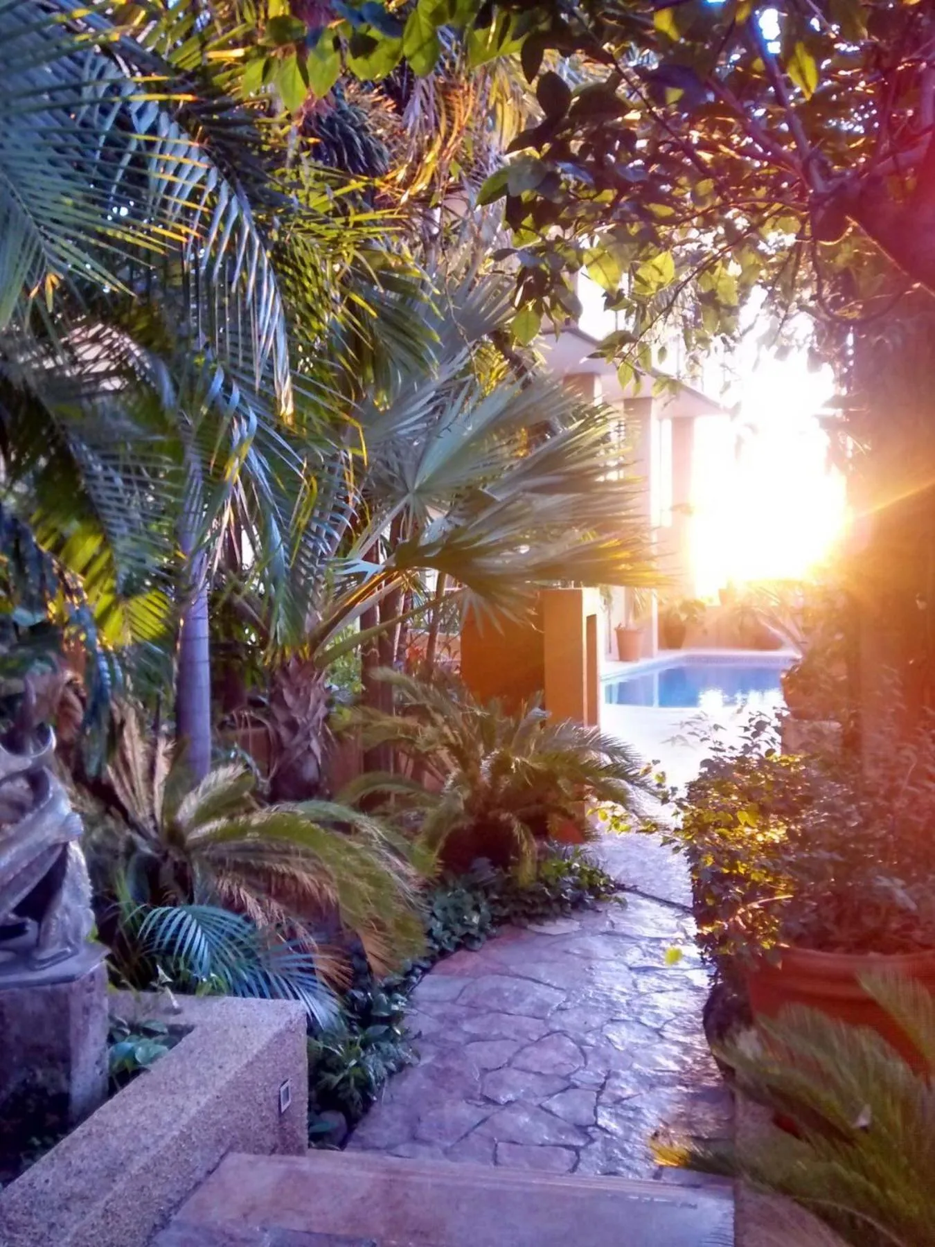 Swimming pool in Hotel San Luis Lindavista