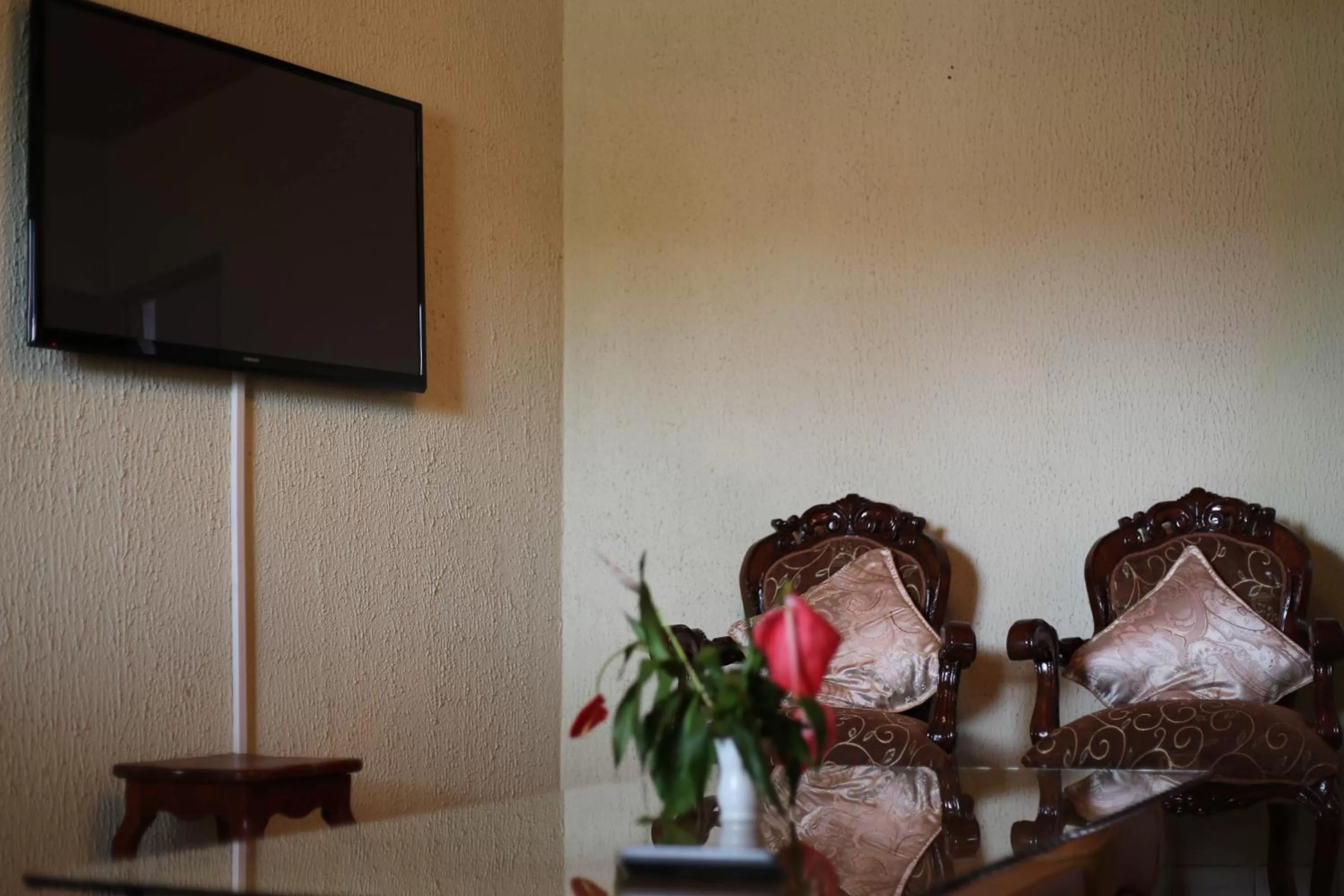 Other, TV/Entertainment Center in Fini Hotel Bobende