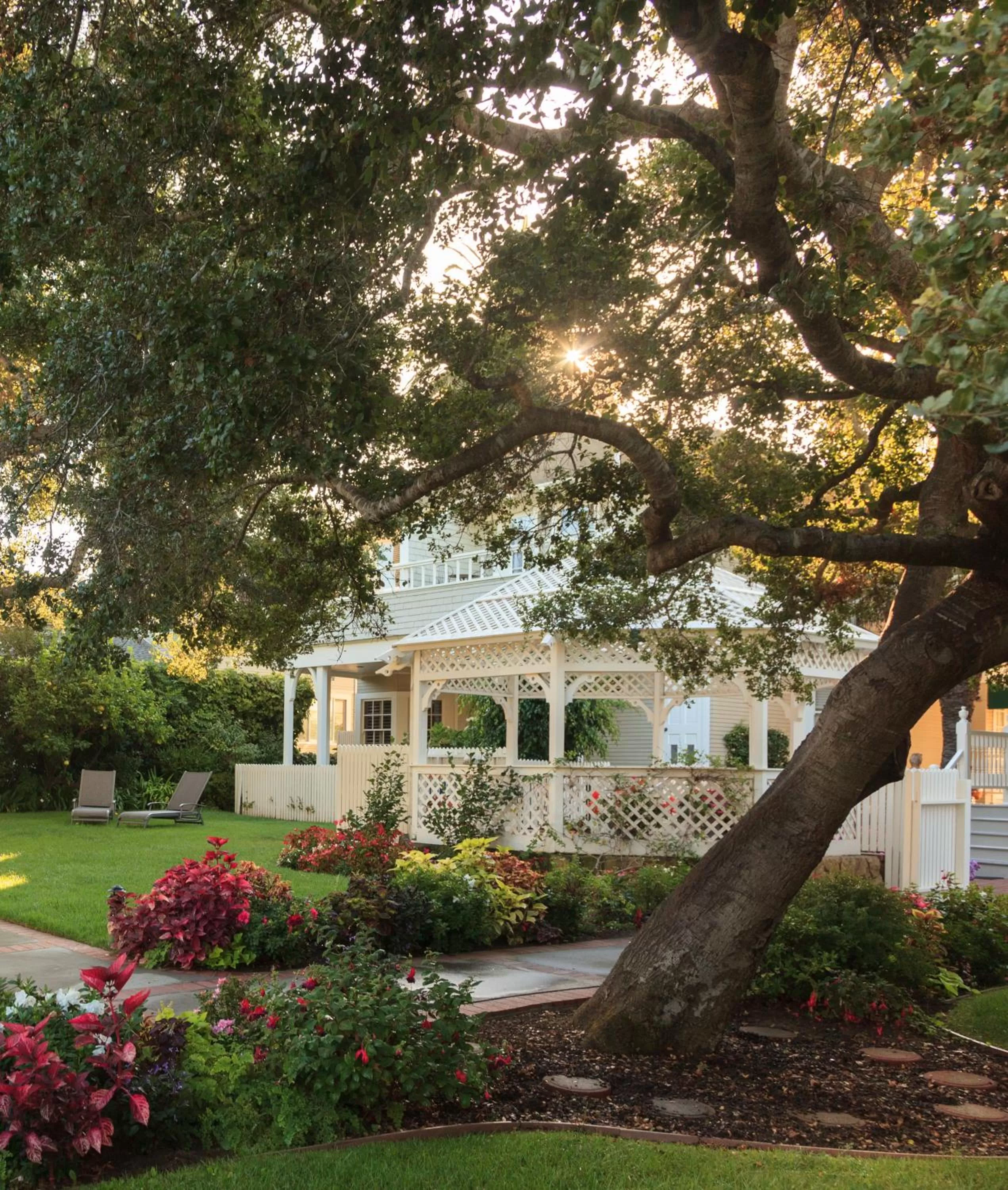 Garden in Cheshire Cat Inn & Cottages