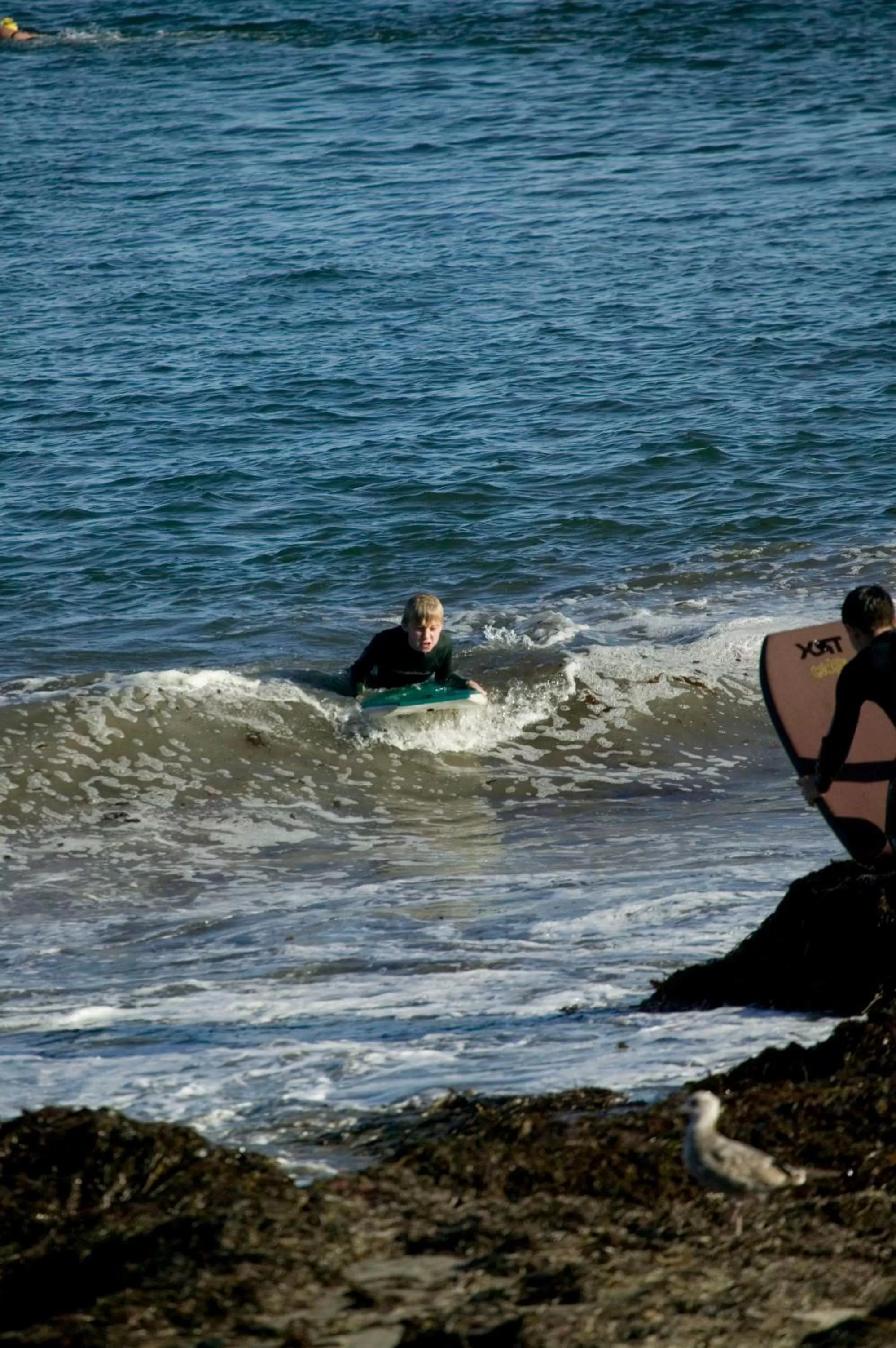 View (from property/room) in West Cliff Inn, A Four Sisters Inn