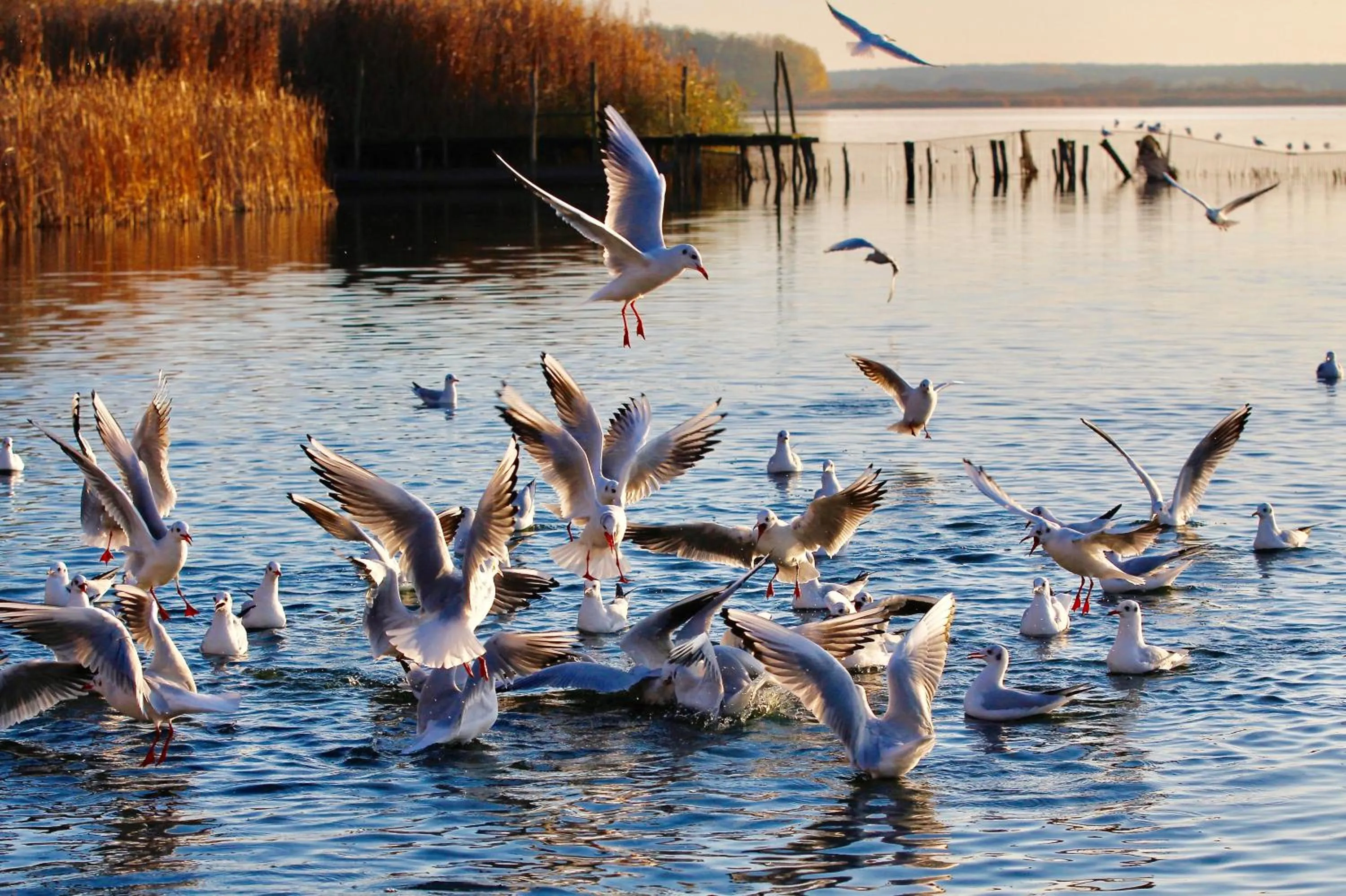 Natural landscape in Seehotel Berlin-Rangsdorf