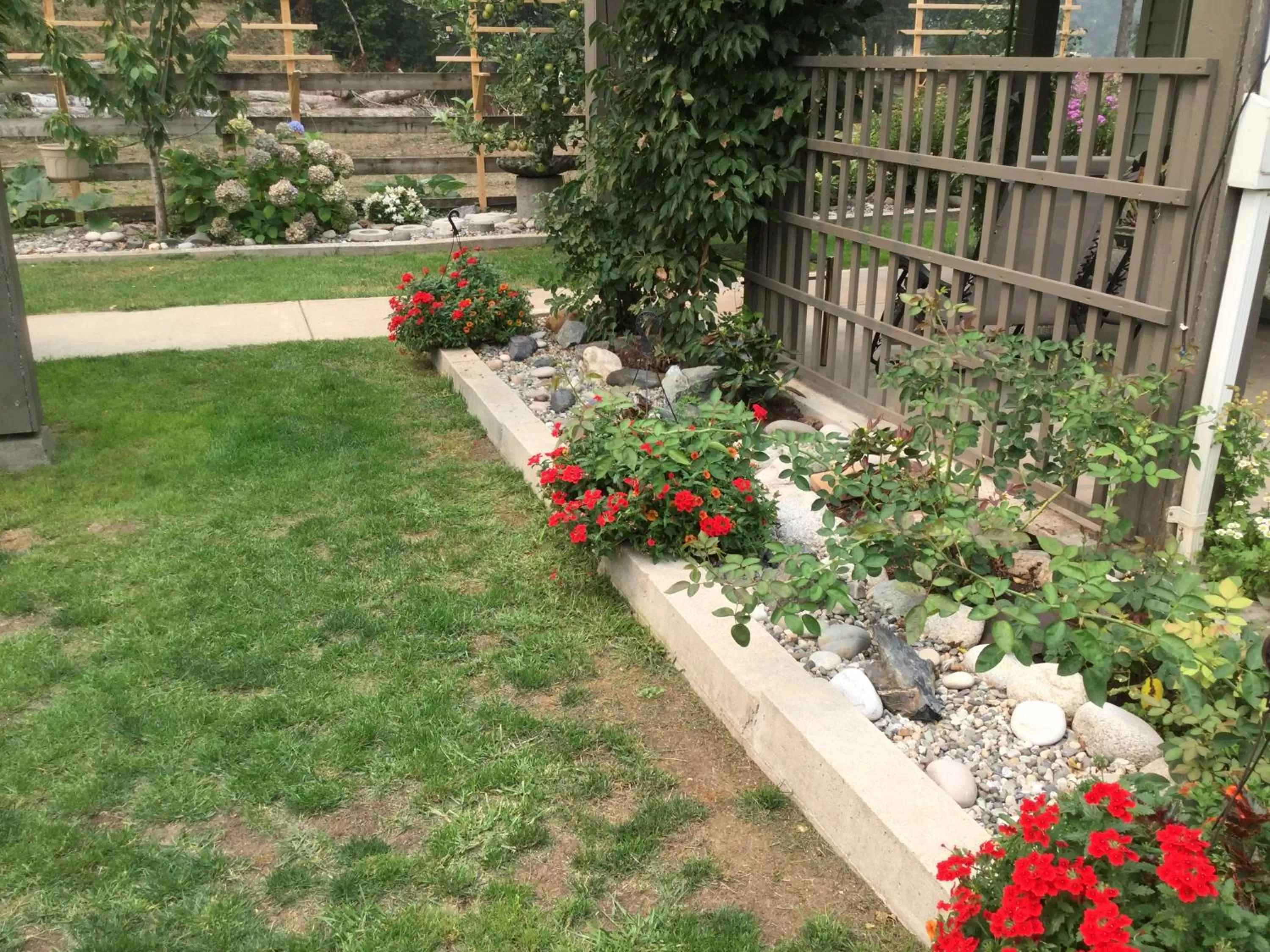 Balcony/Terrace, Garden in Hope Springs Eternal Bed and Breakfast